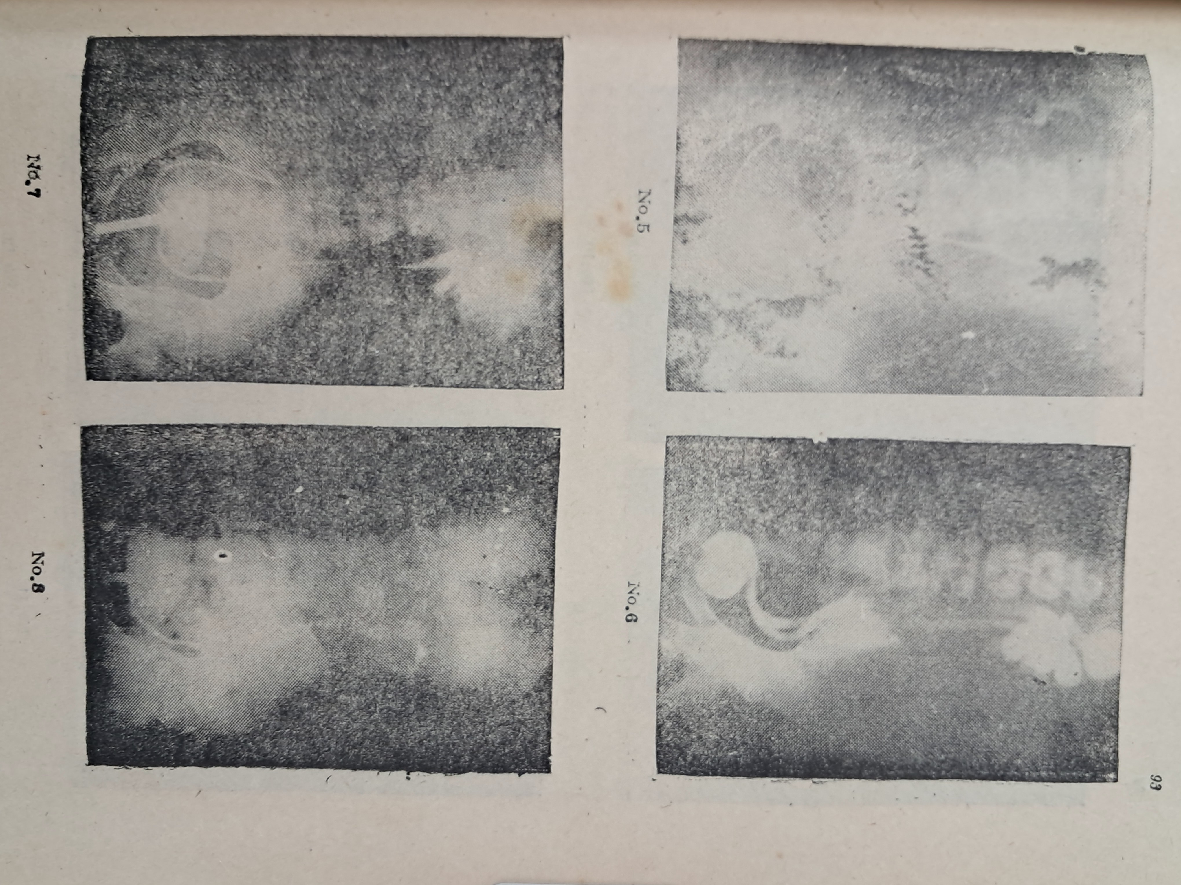 40016eafcb66ed9c7bc4306e37dd4fd9_1761750198_1858.jpg 40016eafcb66ed9c7bc4306e37dd4fd9_1761750198_1858.jpg