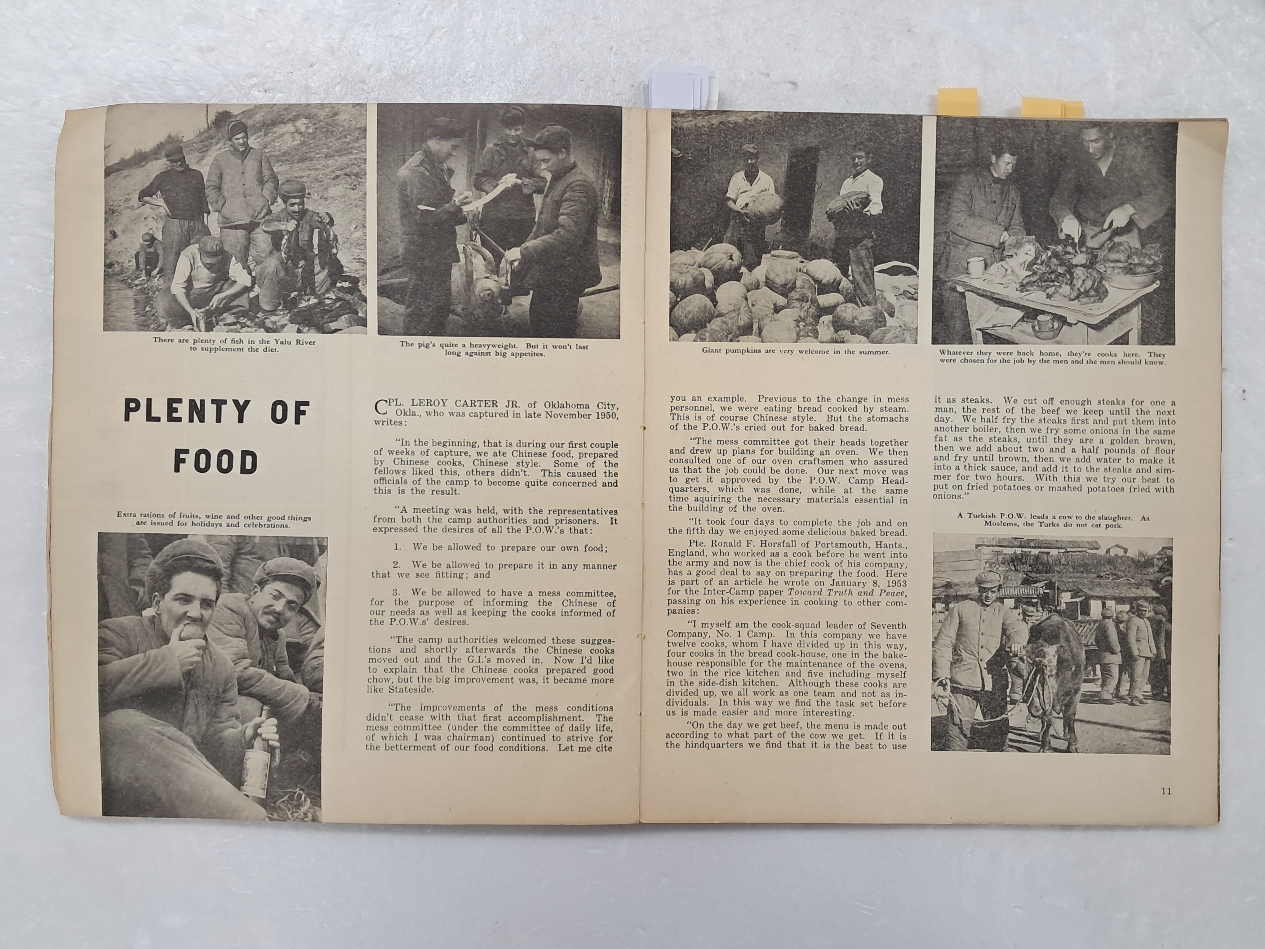 40016eafcb66ed9c7bc4306e37dd4fd9_1761750733_4366.jpg 40016eafcb66ed9c7bc4306e37dd4fd9_1761750733_4366.jpg