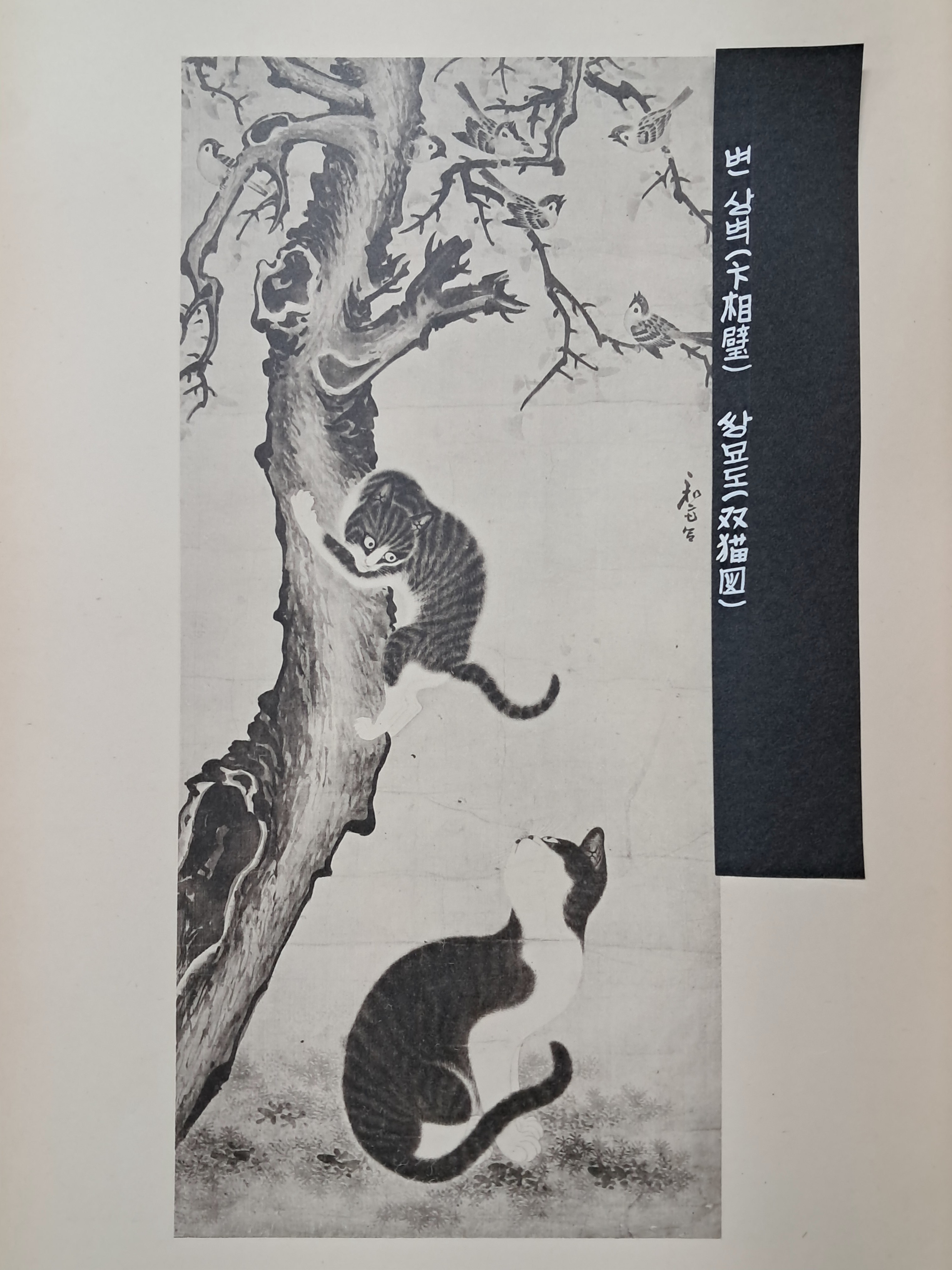 40016eafcb66ed9c7bc4306e37dd4fd9_1761751952_7408.jpg 40016eafcb66ed9c7bc4306e37dd4fd9_1761751952_7408.jpg