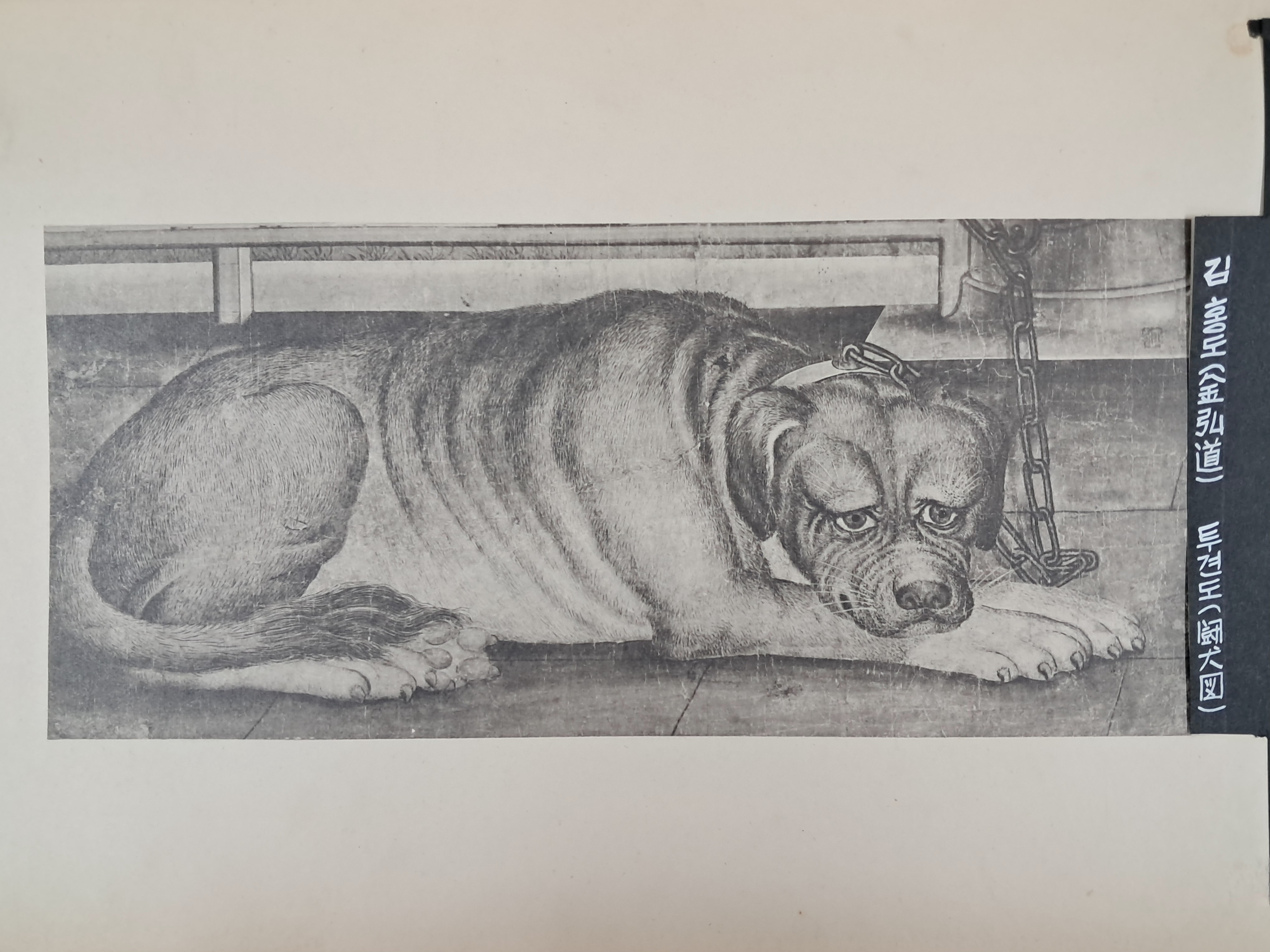 40016eafcb66ed9c7bc4306e37dd4fd9_1761751962_0878.jpg 40016eafcb66ed9c7bc4306e37dd4fd9_1761751962_0878.jpg