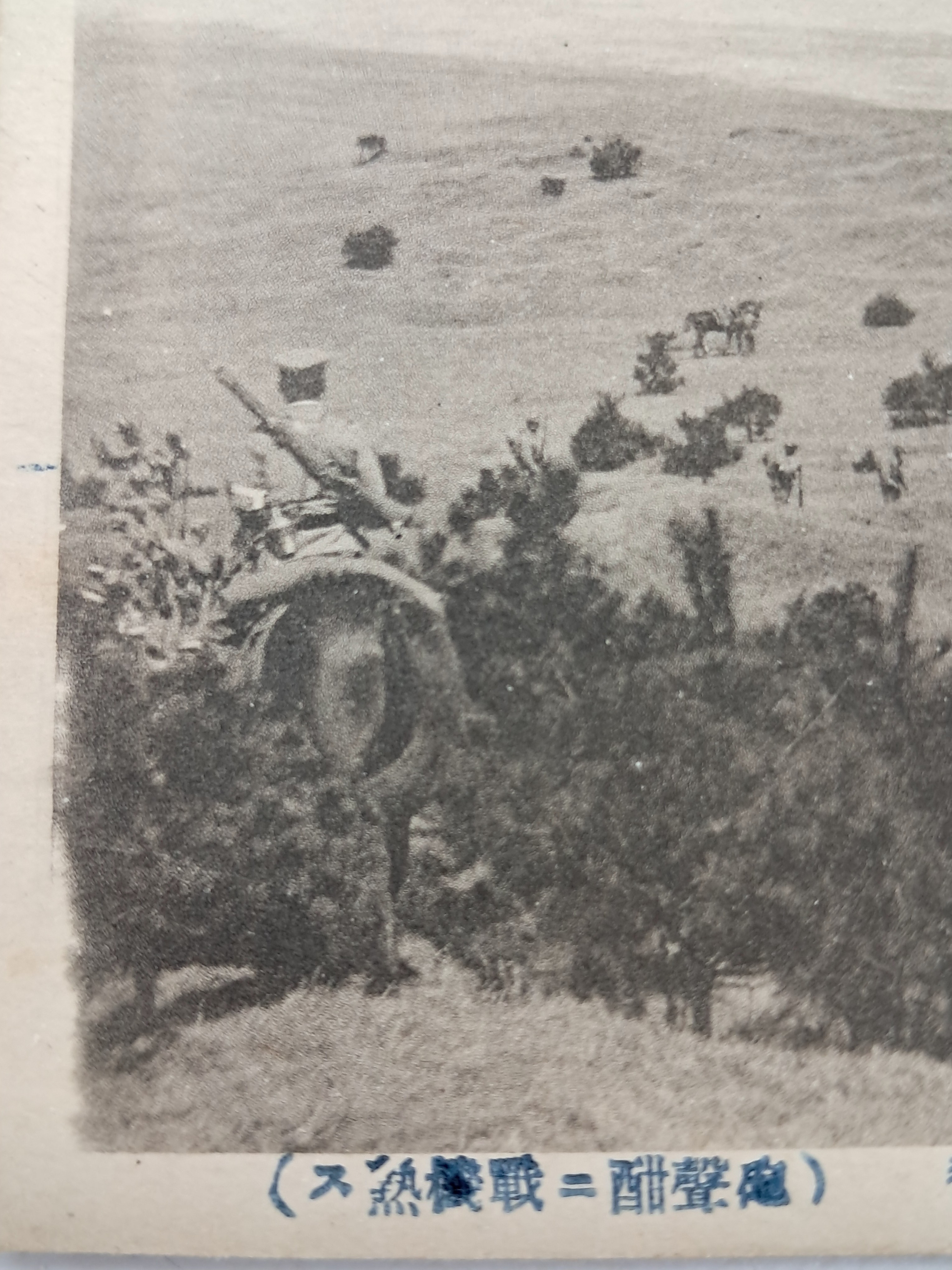 40016eafcb66ed9c7bc4306e37dd4fd9_1761752026_7175.jpg 40016eafcb66ed9c7bc4306e37dd4fd9_1761752026_7175.jpg