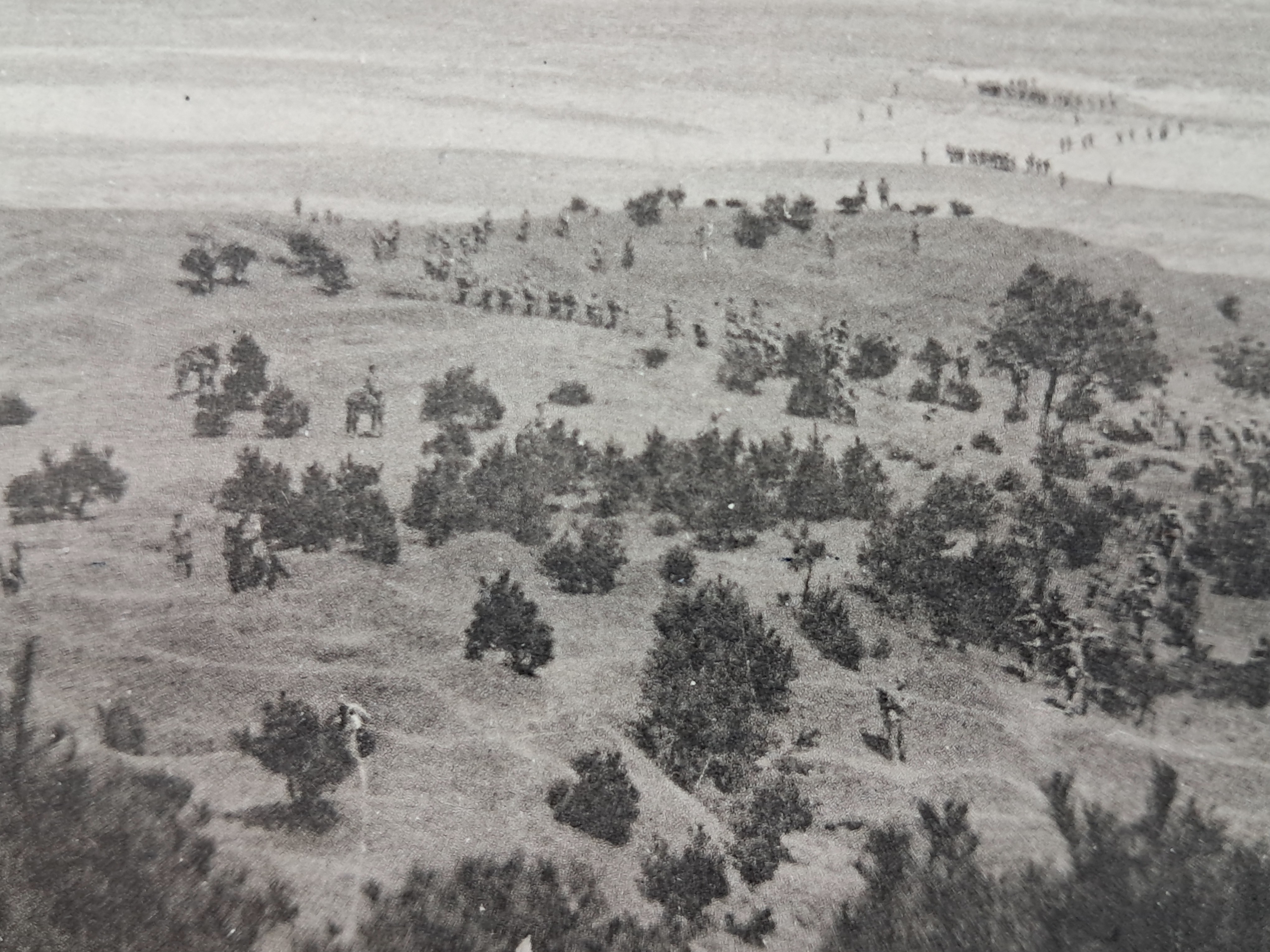 40016eafcb66ed9c7bc4306e37dd4fd9_1761752027_16.jpg 40016eafcb66ed9c7bc4306e37dd4fd9_1761752027_16.jpg