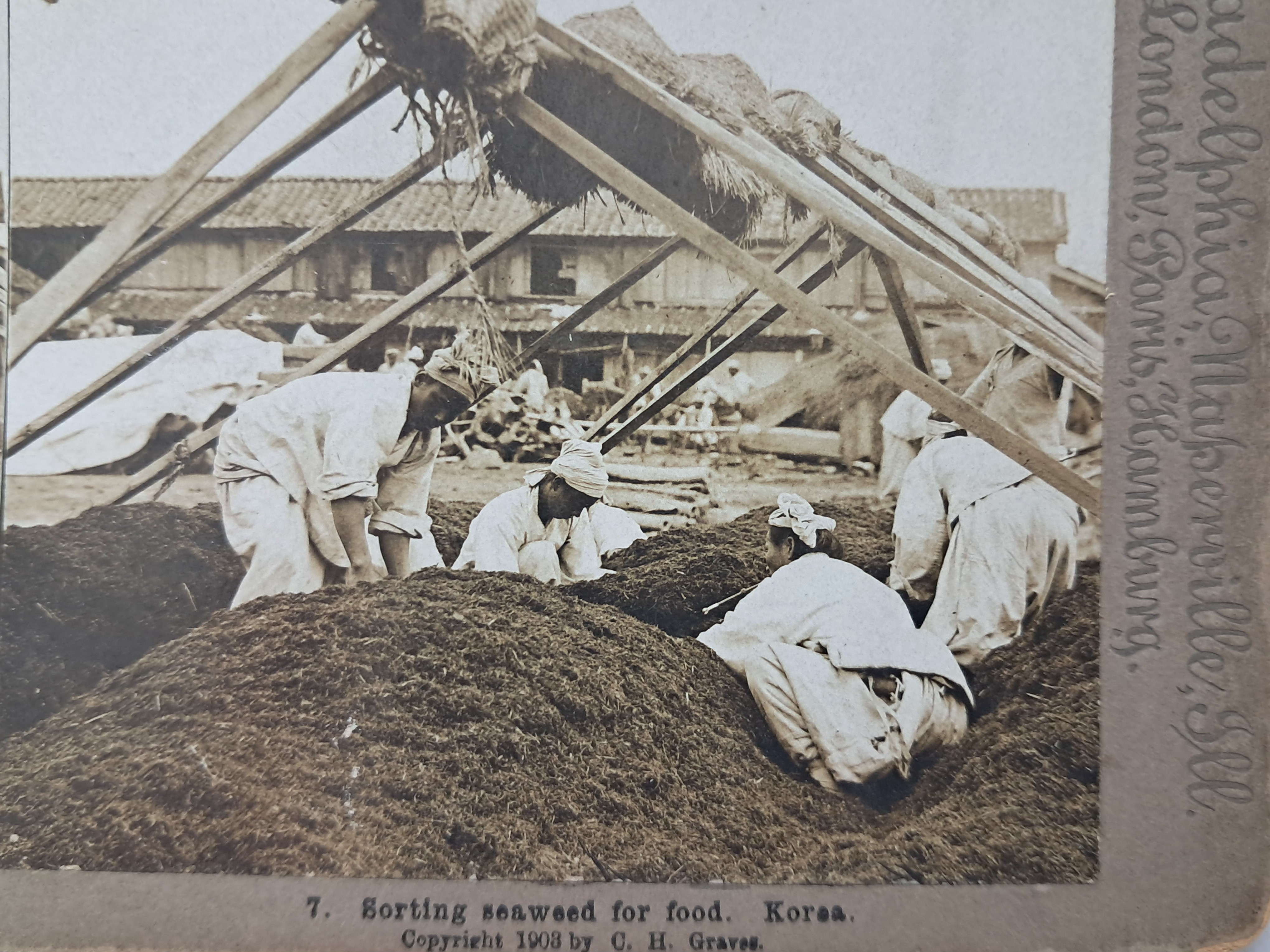 cb136c8b0a361aec3db6e8edca897a9c_1761878930_411.jpg cb136c8b0a361aec3db6e8edca897a9c_1761878930_411.jpg