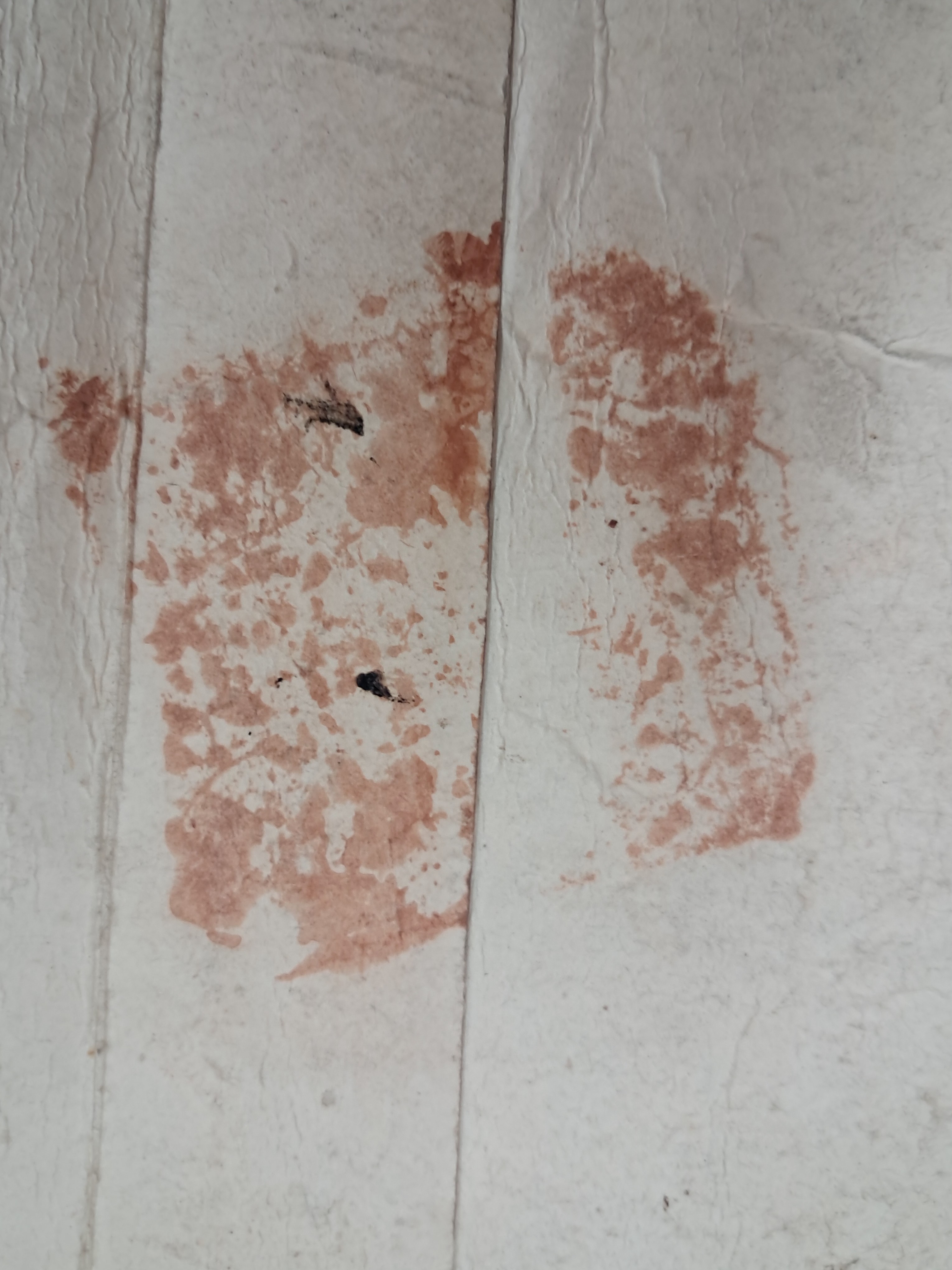 cb136c8b0a361aec3db6e8edca897a9c_1761880996_6292.jpg cb136c8b0a361aec3db6e8edca897a9c_1761880996_6292.jpg