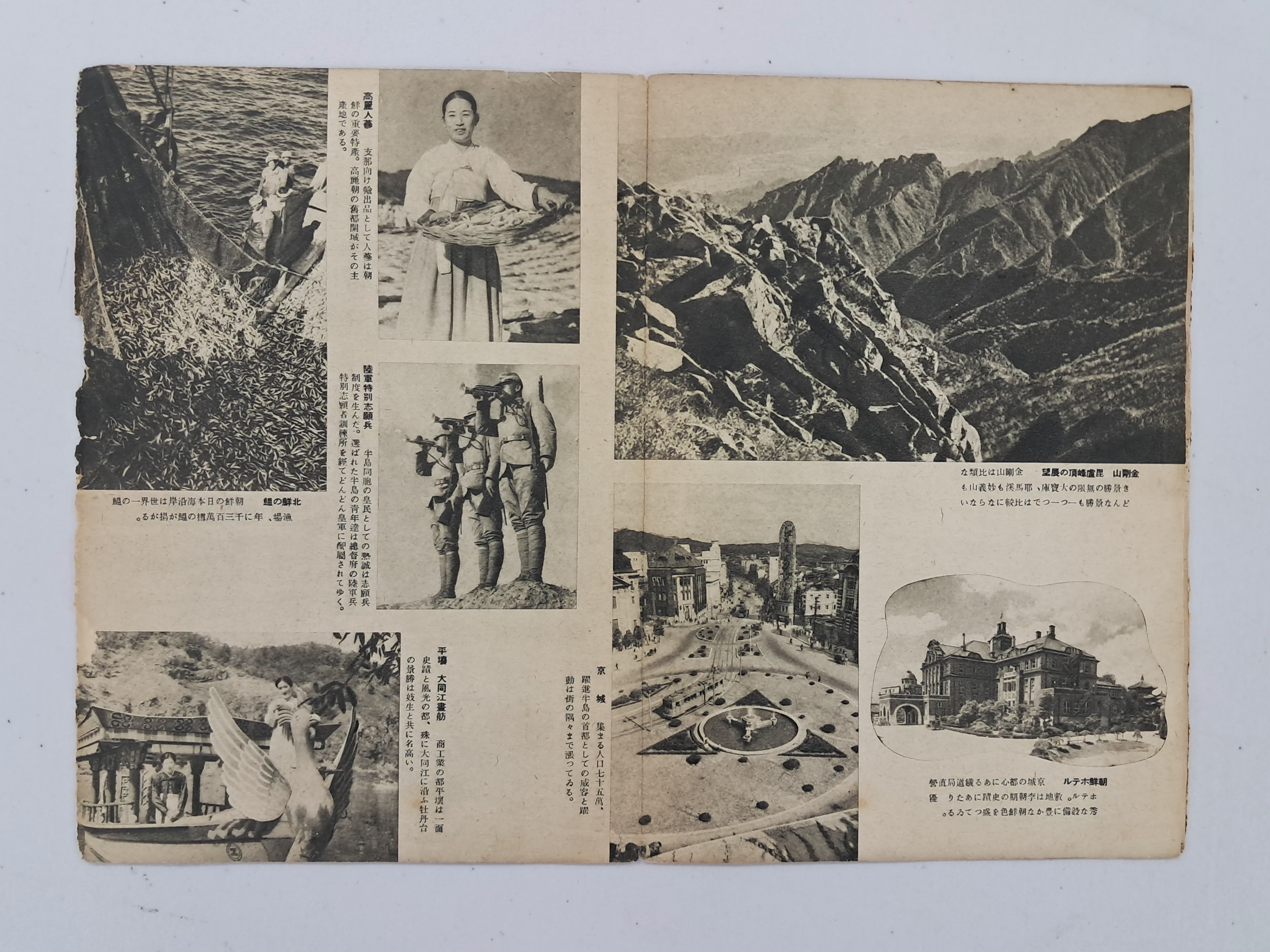 9a081ef977691302c059ce3e968ab428_1762409432_7769.jpg 9a081ef977691302c059ce3e968ab428_1762409432_7769.jpg