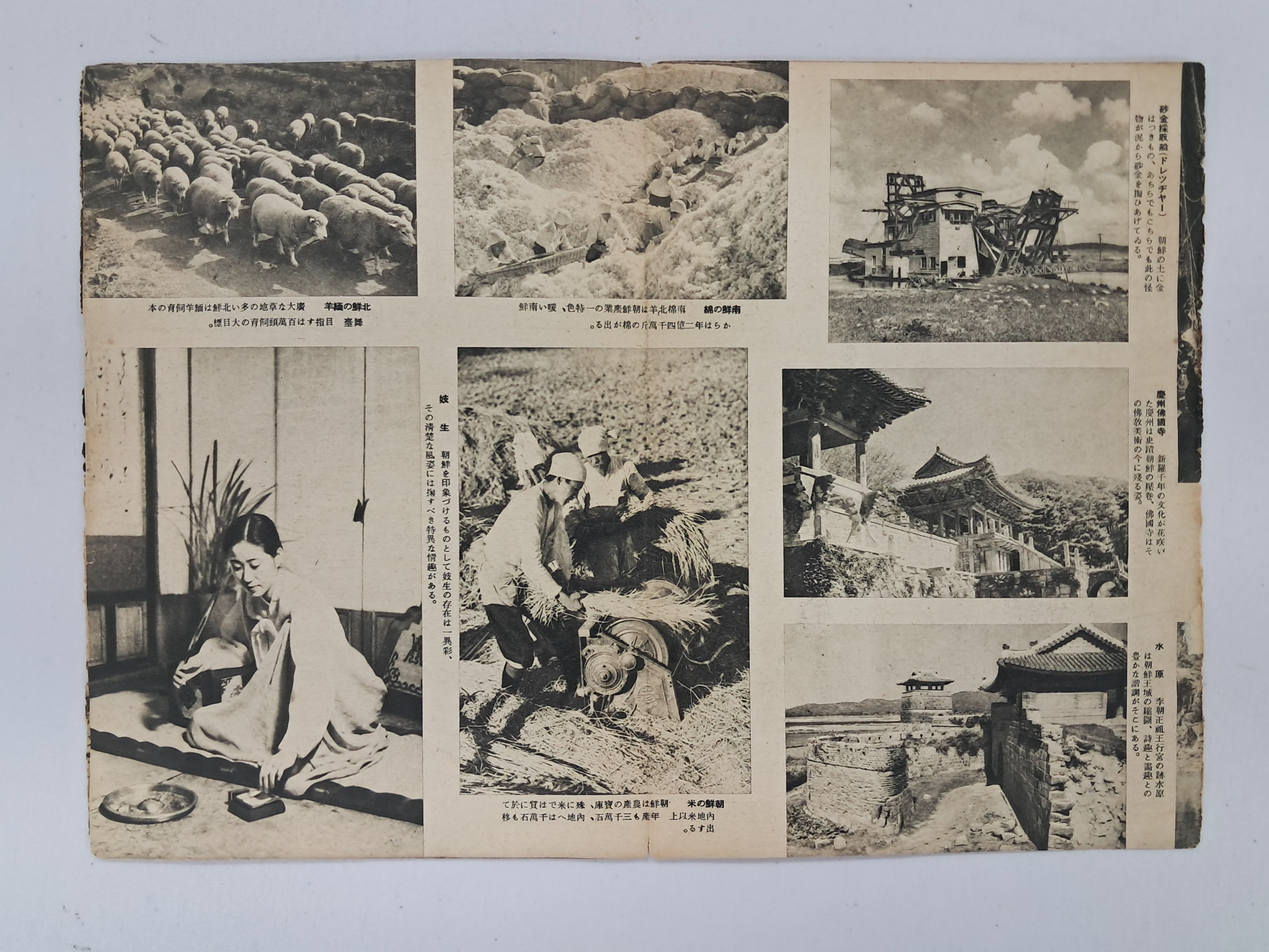 9a081ef977691302c059ce3e968ab428_1762409433_6255.jpg 9a081ef977691302c059ce3e968ab428_1762409433_6255.jpg