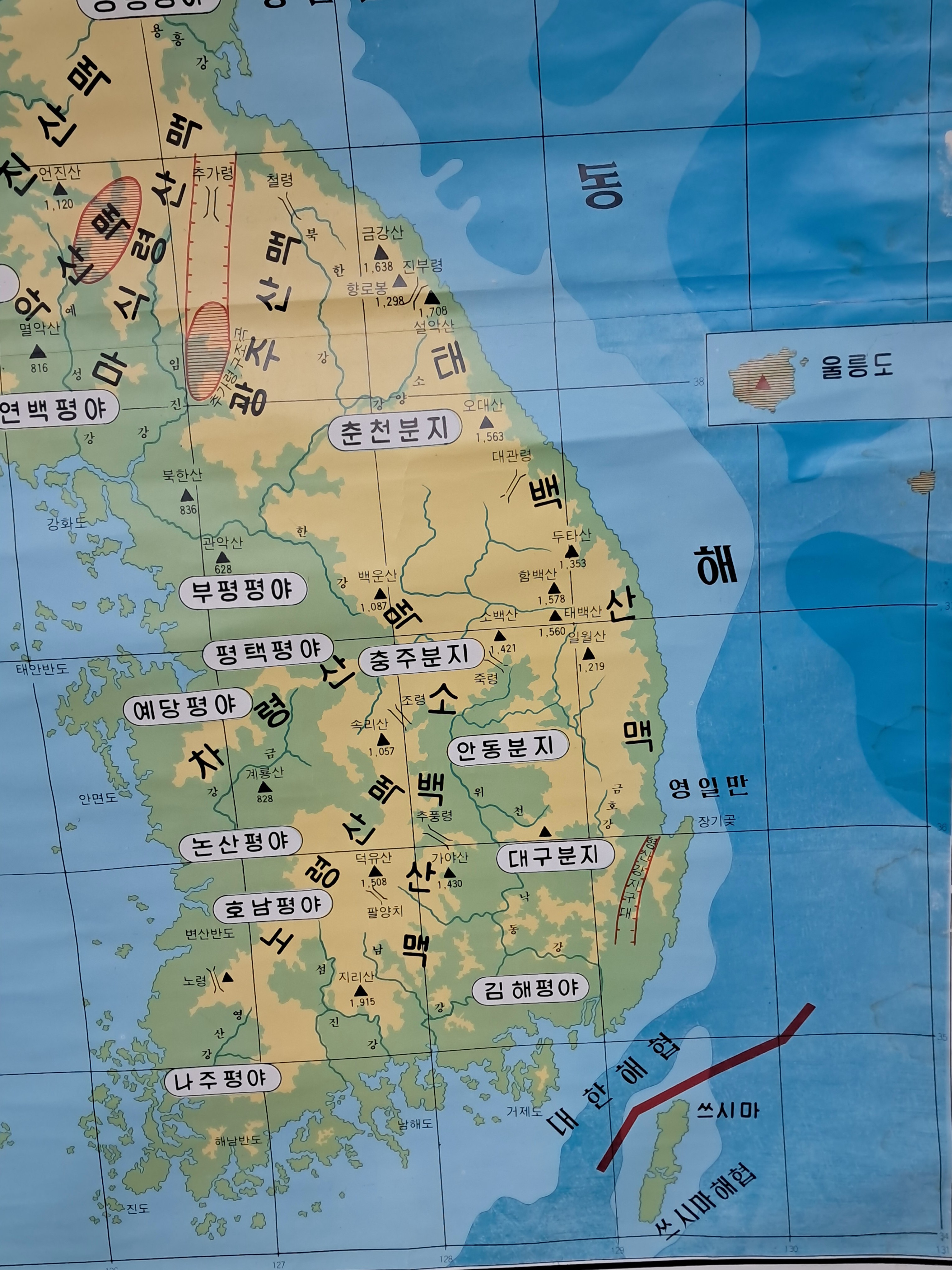 9a081ef977691302c059ce3e968ab428_1762416413_7522.jpg 9a081ef977691302c059ce3e968ab428_1762416413_7522.jpg