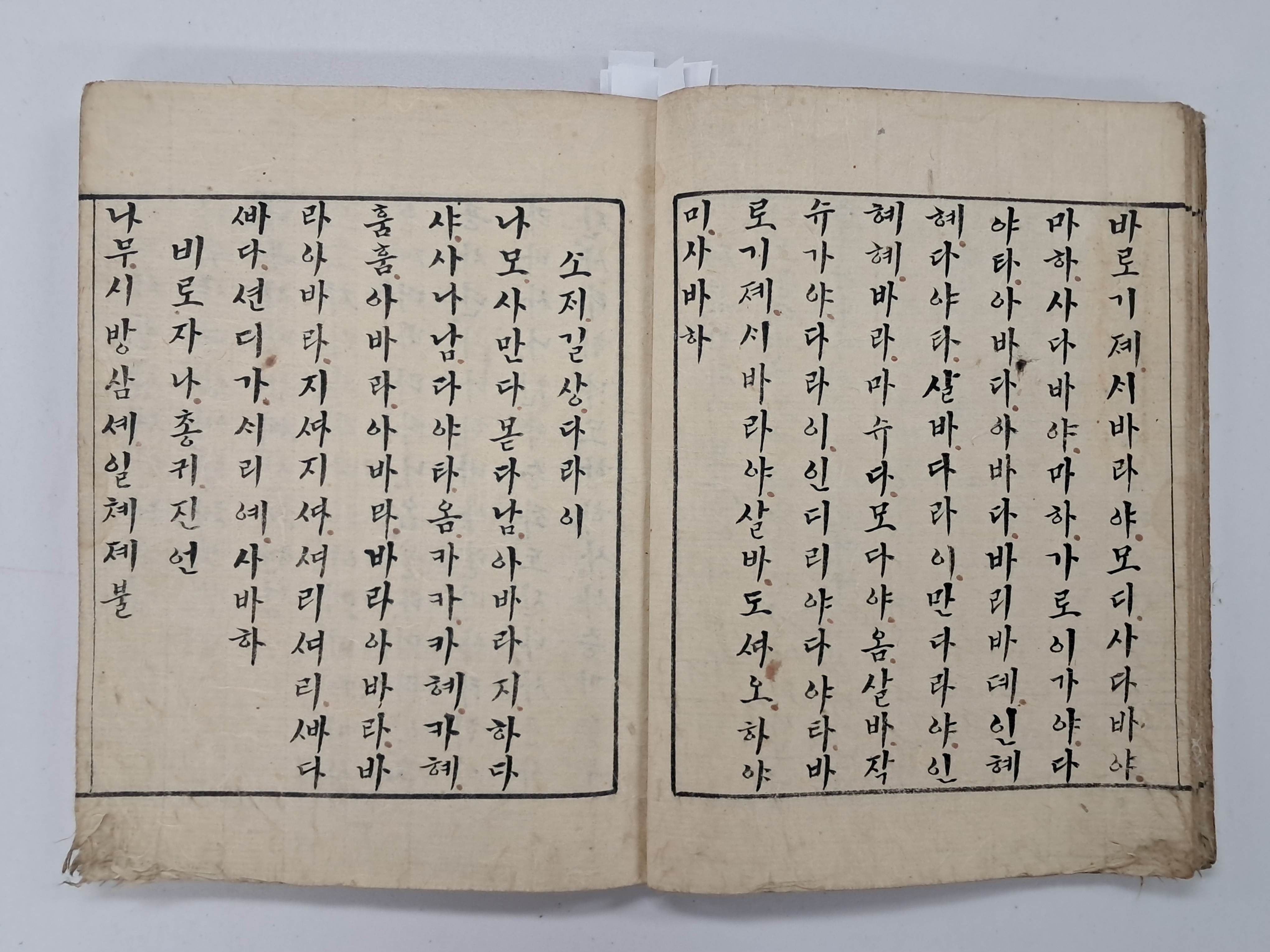 22508b2079b205a0521eda26207a3886_1766713133_3859.jpg 22508b2079b205a0521eda26207a3886_1766713133_3859.jpg