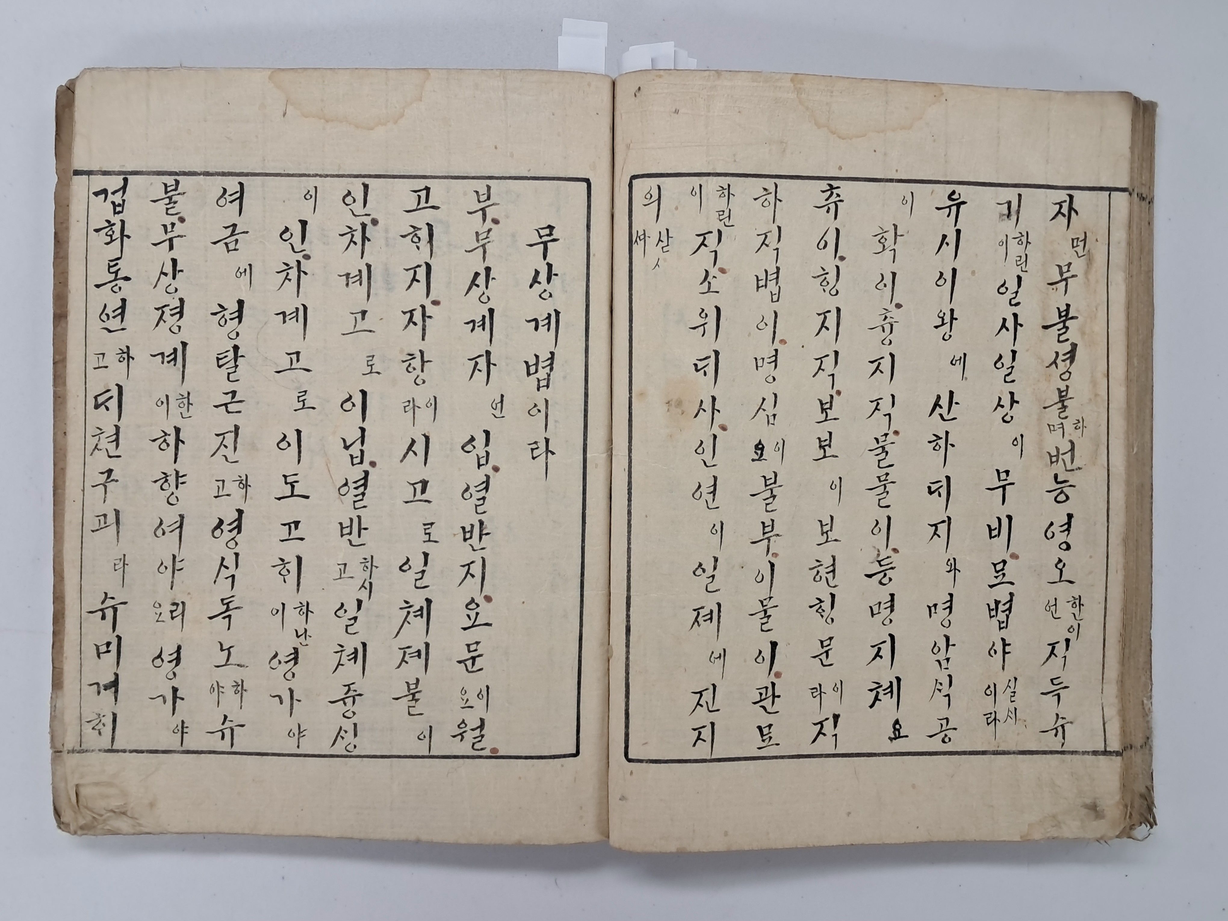 22508b2079b205a0521eda26207a3886_1766713143_0369.jpg 22508b2079b205a0521eda26207a3886_1766713143_0369.jpg