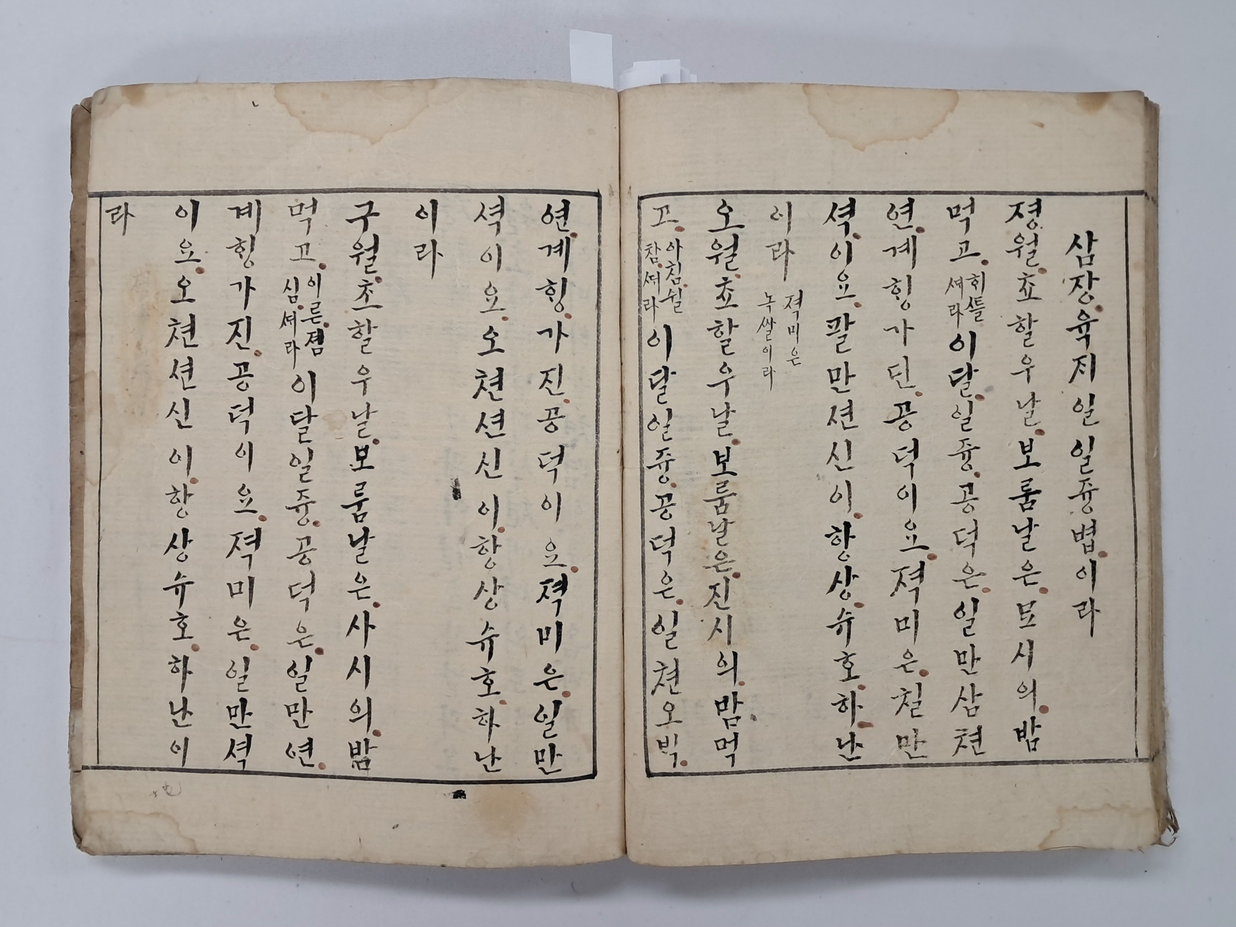 22508b2079b205a0521eda26207a3886_1766713143_4259.jpg 22508b2079b205a0521eda26207a3886_1766713143_4259.jpg