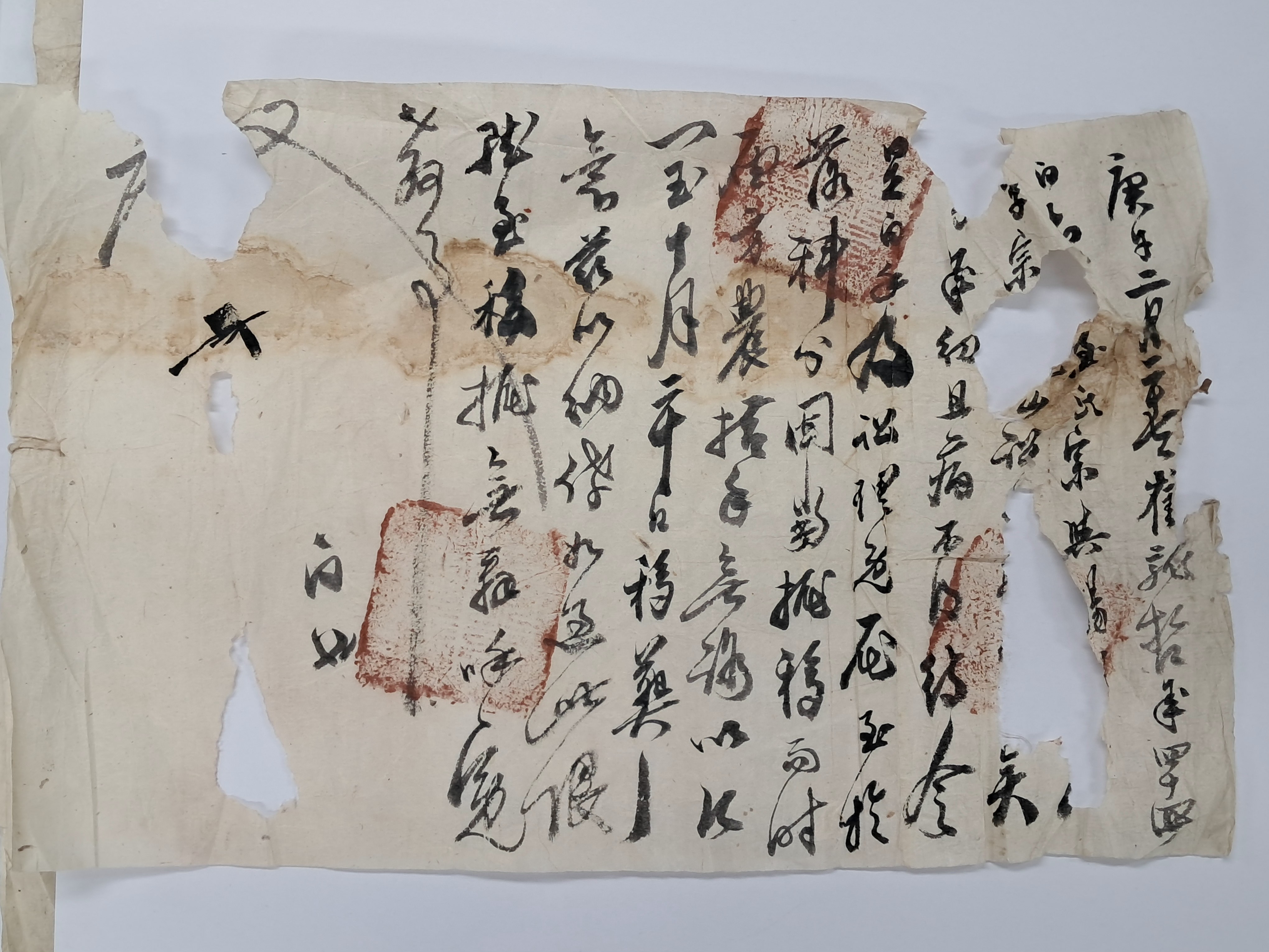 22508b2079b205a0521eda26207a3886_1766715126_695.jpg 22508b2079b205a0521eda26207a3886_1766715126_695.jpg