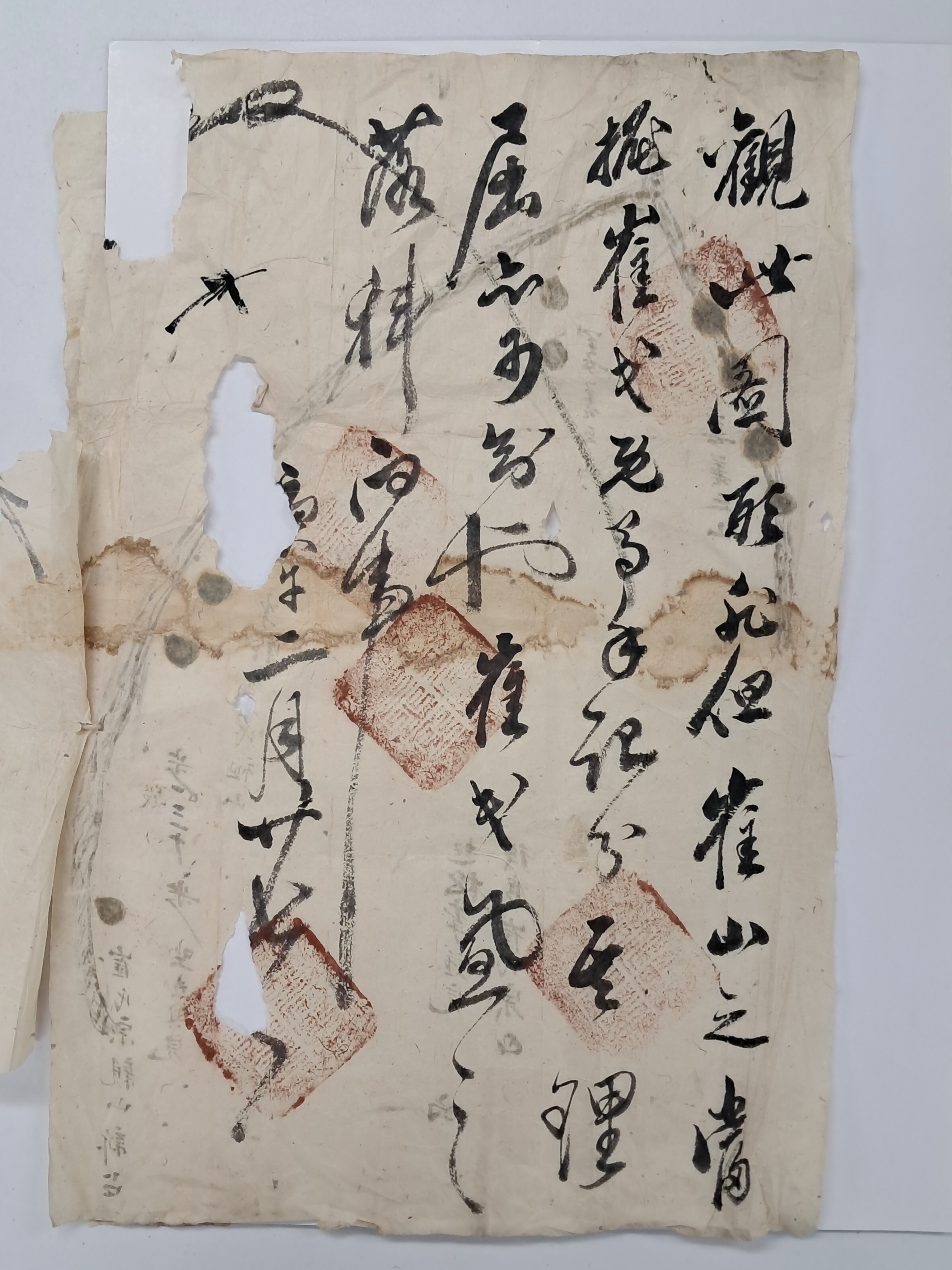 22508b2079b205a0521eda26207a3886_1766715127_0679.jpg 22508b2079b205a0521eda26207a3886_1766715127_0679.jpg