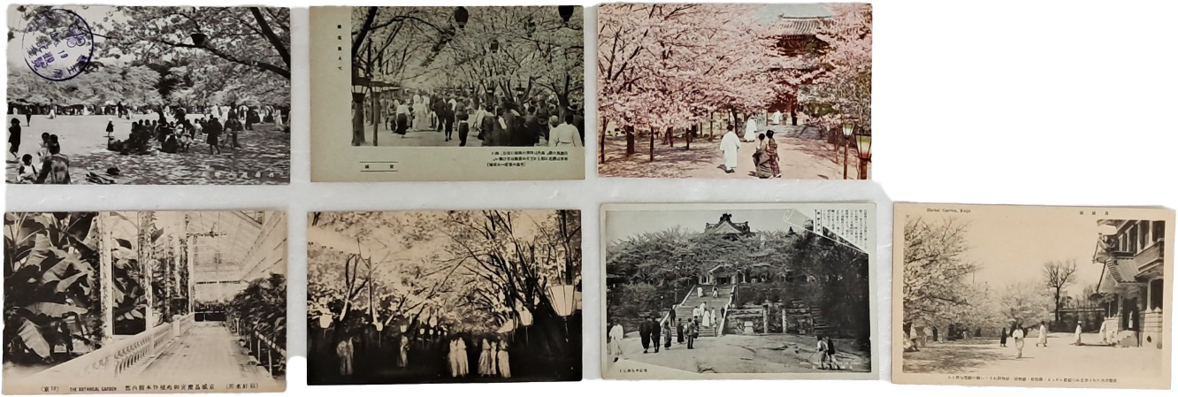 937dbc1ff615d82f0e98b66434f19512_1764826035_3128.jpg 937dbc1ff615d82f0e98b66434f19512_1764826035_3128.jpg