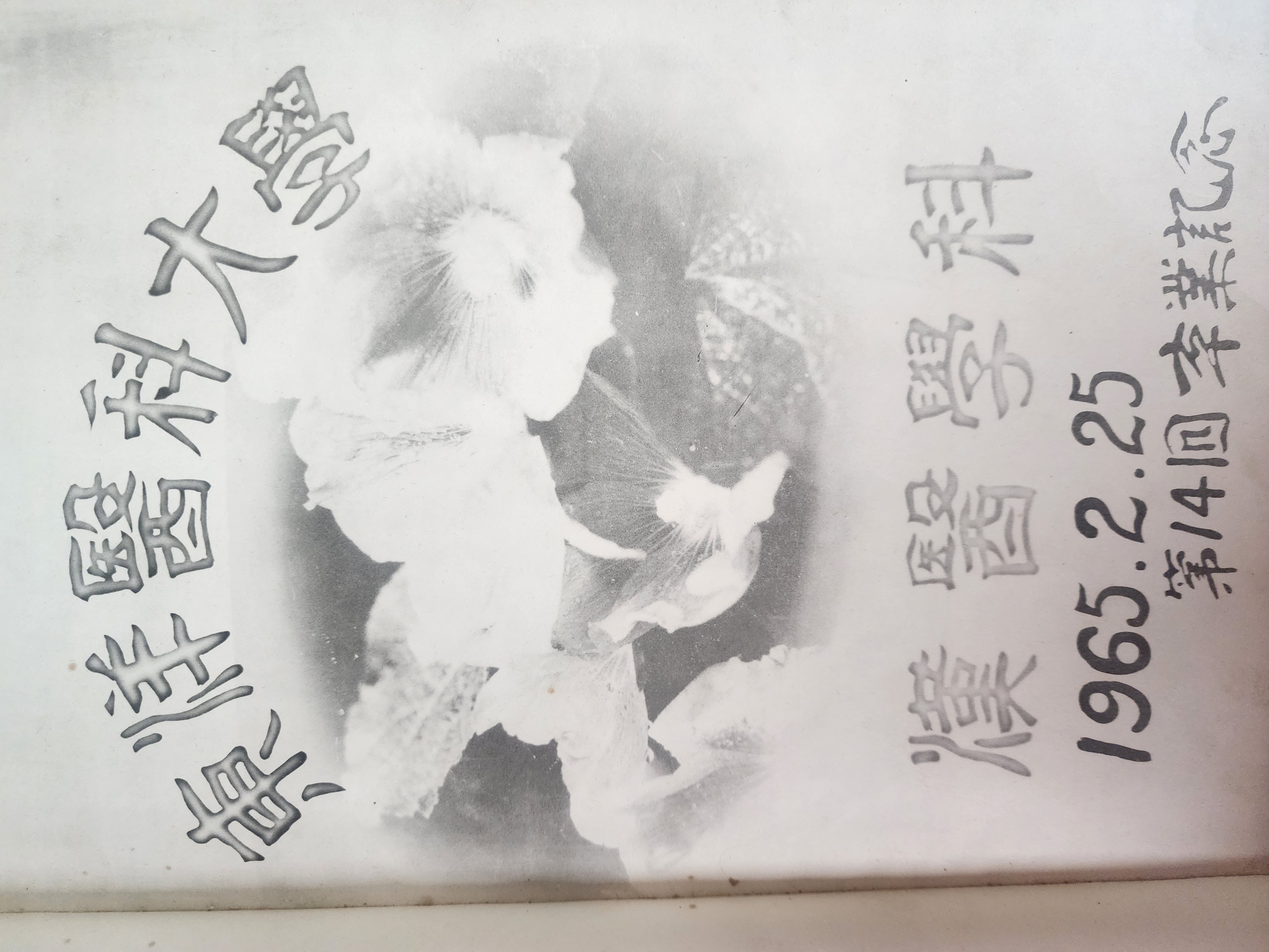 5878181e49dedbf775dcee4fd141baa2_1769655579_6048.jpg 5878181e49dedbf775dcee4fd141baa2_1769655579_6048.jpg