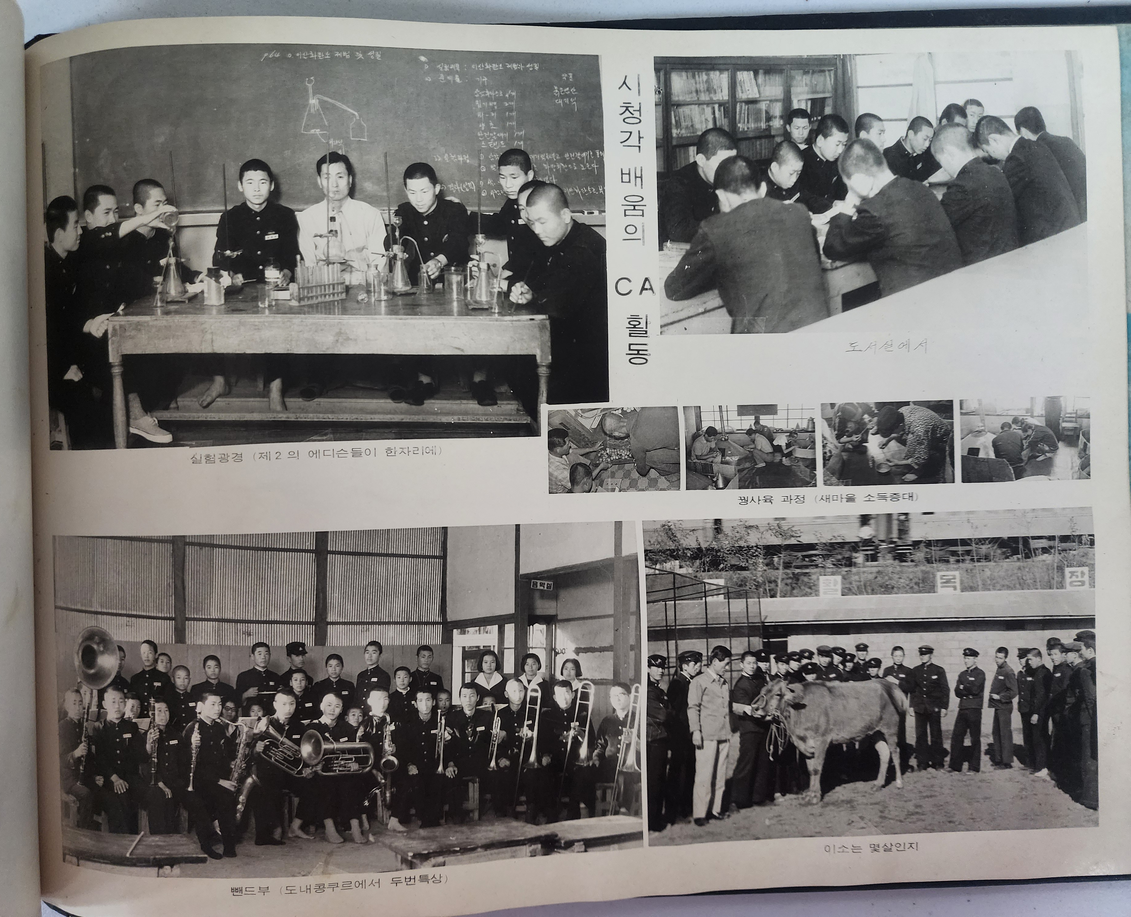 5878181e49dedbf775dcee4fd141baa2_1769657571_1636.jpg 5878181e49dedbf775dcee4fd141baa2_1769657571_1636.jpg