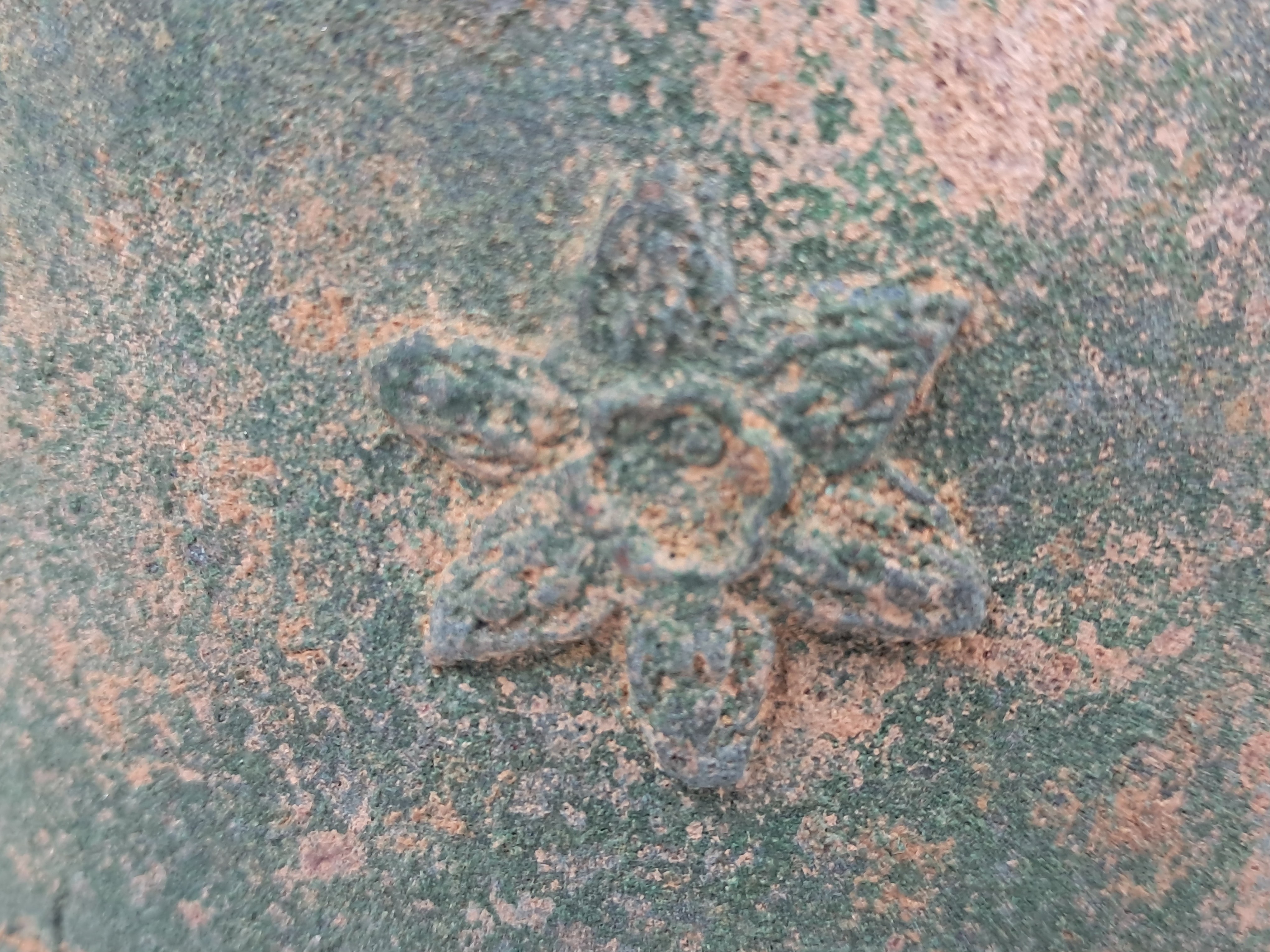 24664a3462cad3a57c98adb0cd643866_1776216718_6009.jpg 24664a3462cad3a57c98adb0cd643866_1776216718_6009.jpg