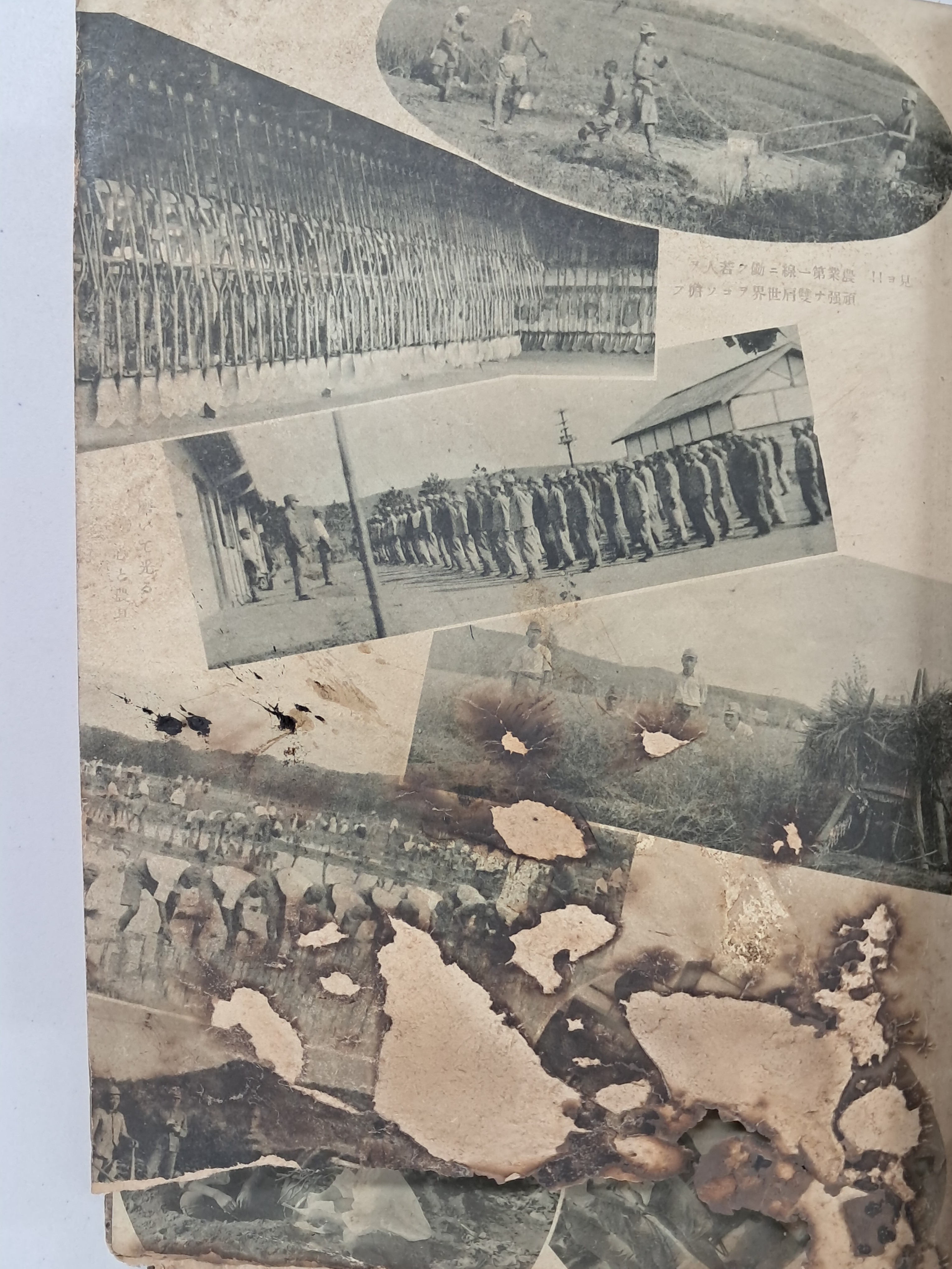 b1a6724483d1ec88dec2704639576aed_1776166568_2597.jpg b1a6724483d1ec88dec2704639576aed_1776166568_2597.jpg