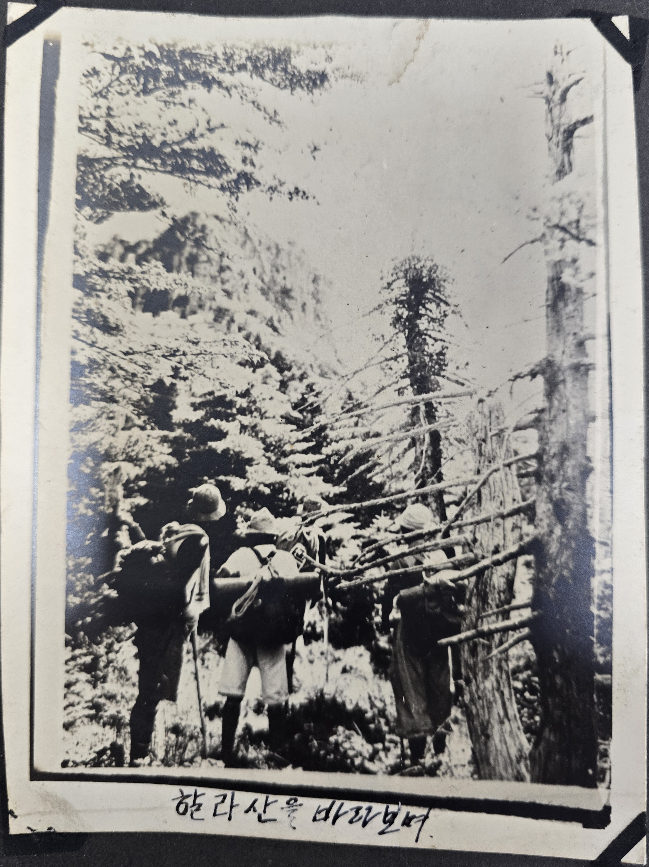 b1a6724483d1ec88dec2704639576aed_1776166645_9257.jpg b1a6724483d1ec88dec2704639576aed_1776166645_9257.jpg