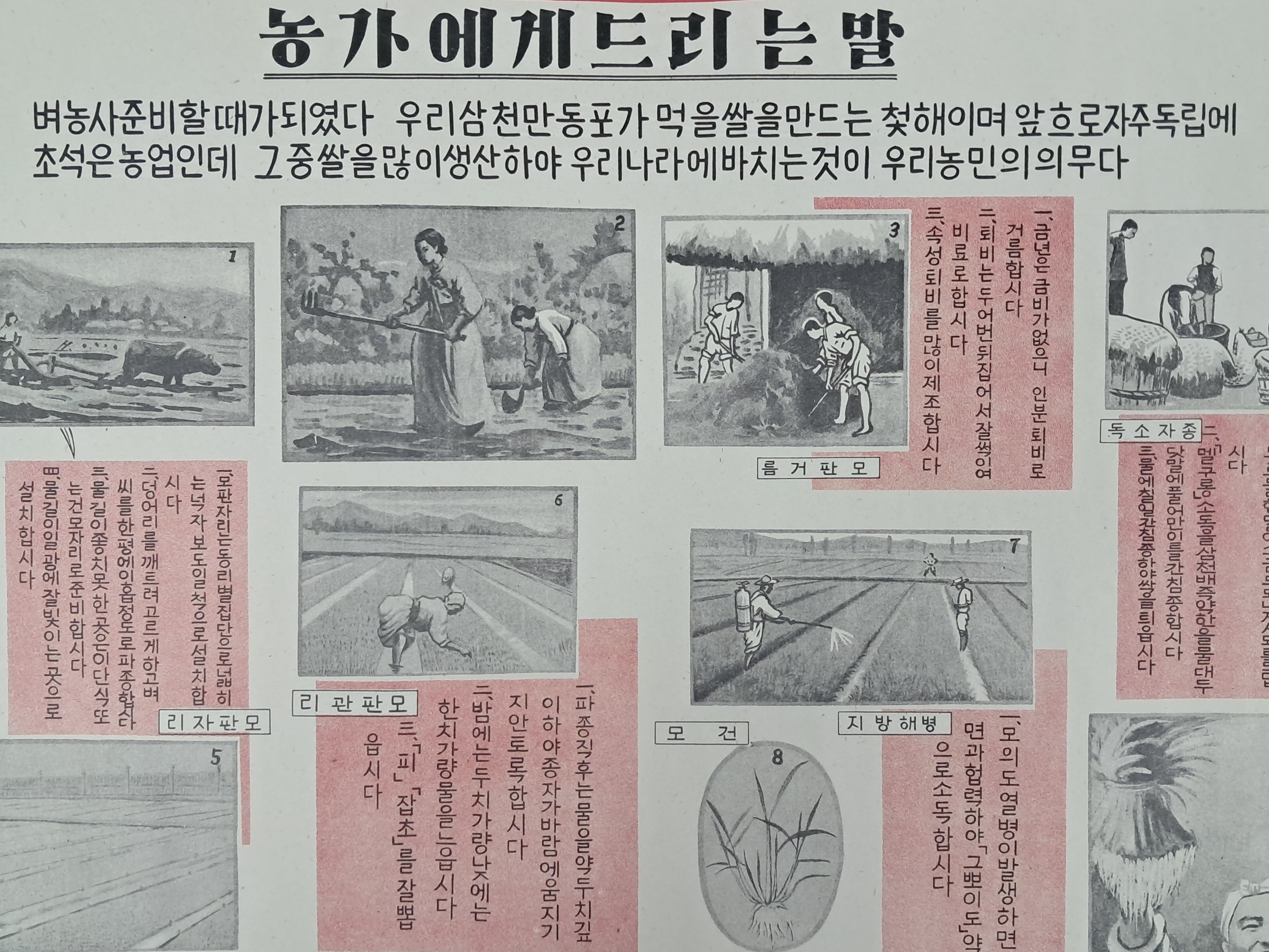 b1a6724483d1ec88dec2704639576aed_1776172789_6409.jpg b1a6724483d1ec88dec2704639576aed_1776172789_6409.jpg