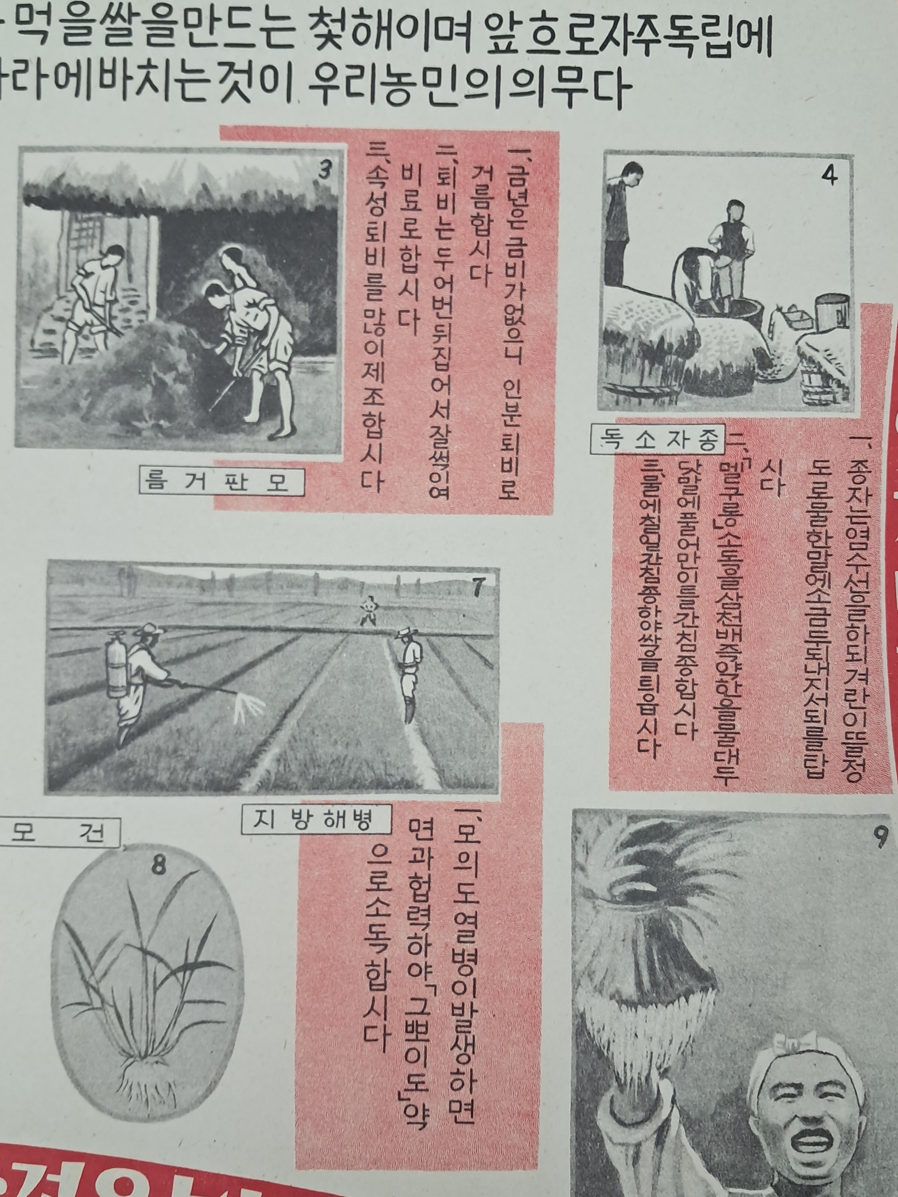 b1a6724483d1ec88dec2704639576aed_1776172790_5639.jpg b1a6724483d1ec88dec2704639576aed_1776172790_5639.jpg