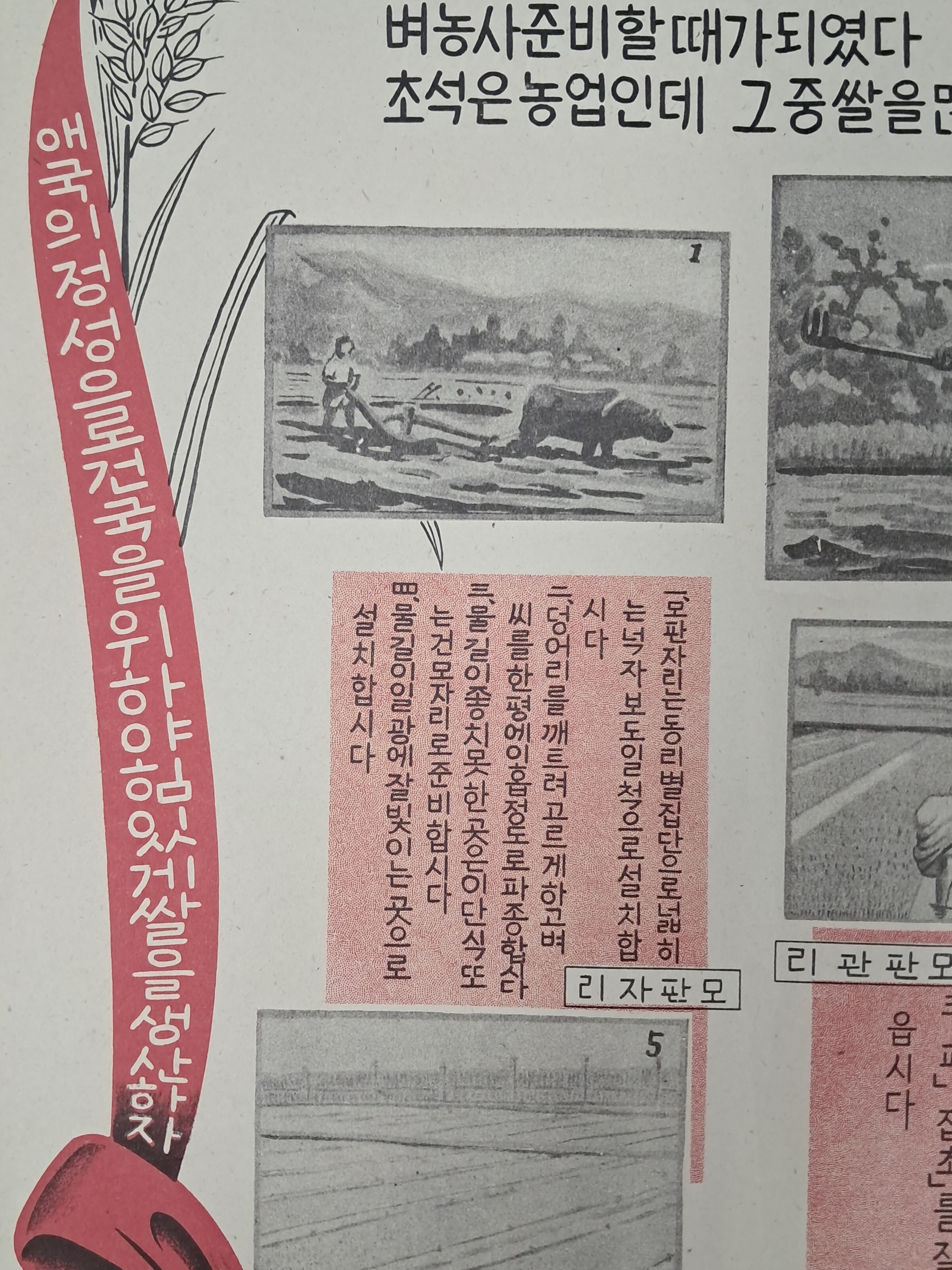 b1a6724483d1ec88dec2704639576aed_1776172791_0133.jpg b1a6724483d1ec88dec2704639576aed_1776172791_0133.jpg