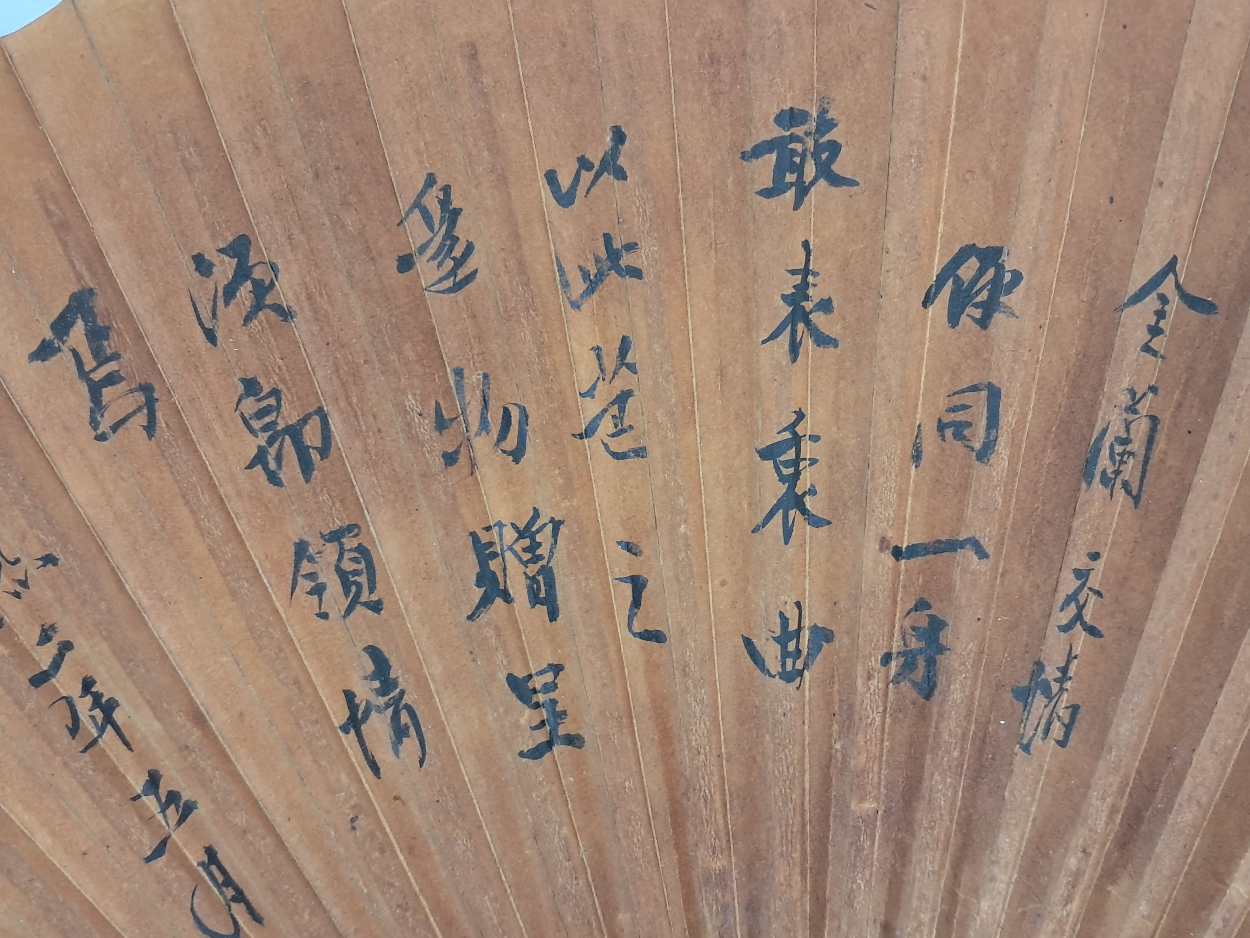 b1a6724483d1ec88dec2704639576aed_1776177553_3435.jpg b1a6724483d1ec88dec2704639576aed_1776177553_3435.jpg