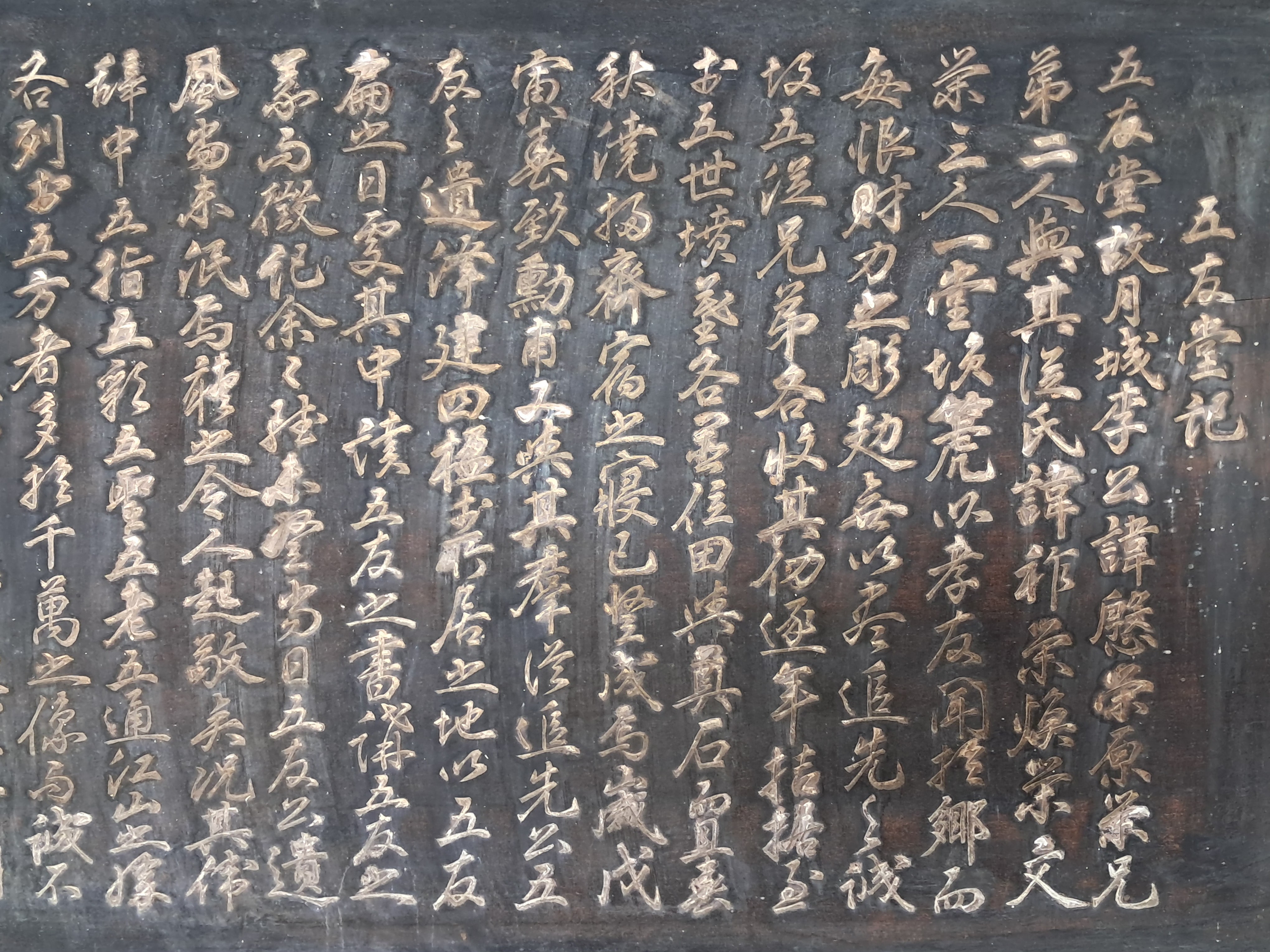 b1a6724483d1ec88dec2704639576aed_1776177674_3539.jpg b1a6724483d1ec88dec2704639576aed_1776177674_3539.jpg