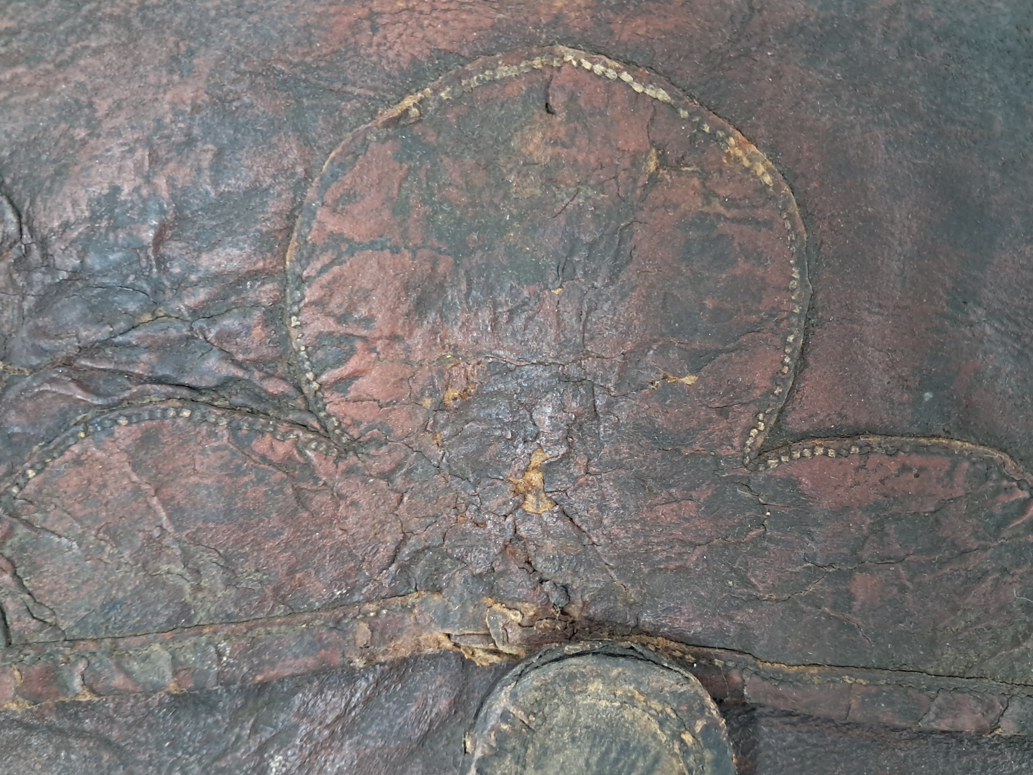 b1a6724483d1ec88dec2704639576aed_1776177873_7245.jpg b1a6724483d1ec88dec2704639576aed_1776177873_7245.jpg