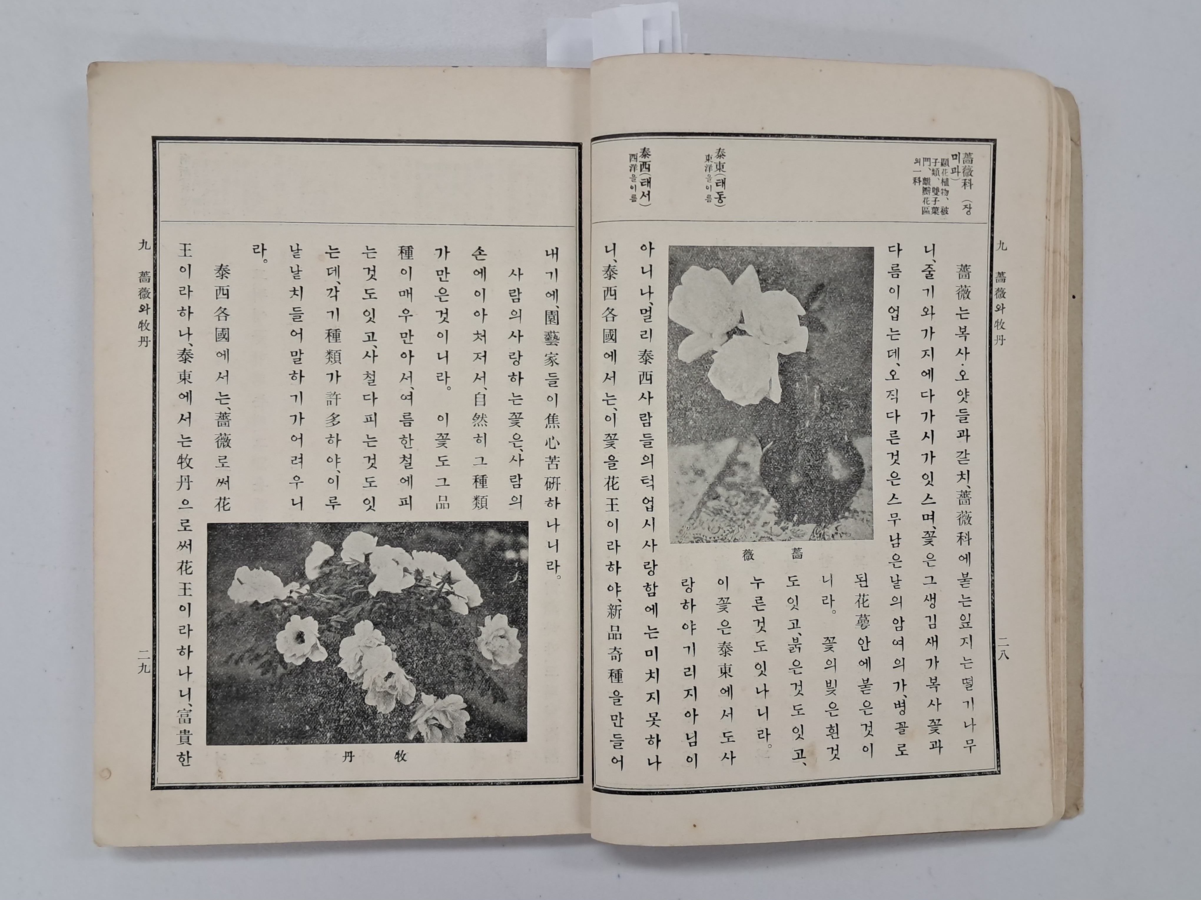 b1a6724483d1ec88dec2704639576aed_1776185197_2687.jpg b1a6724483d1ec88dec2704639576aed_1776185197_2687.jpg