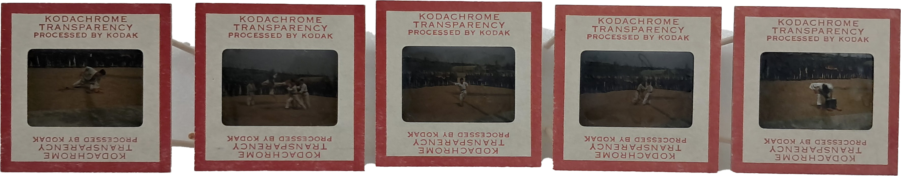 b1a6724483d1ec88dec2704639576aed_1776186602_619.jpg b1a6724483d1ec88dec2704639576aed_1776186602_619.jpg