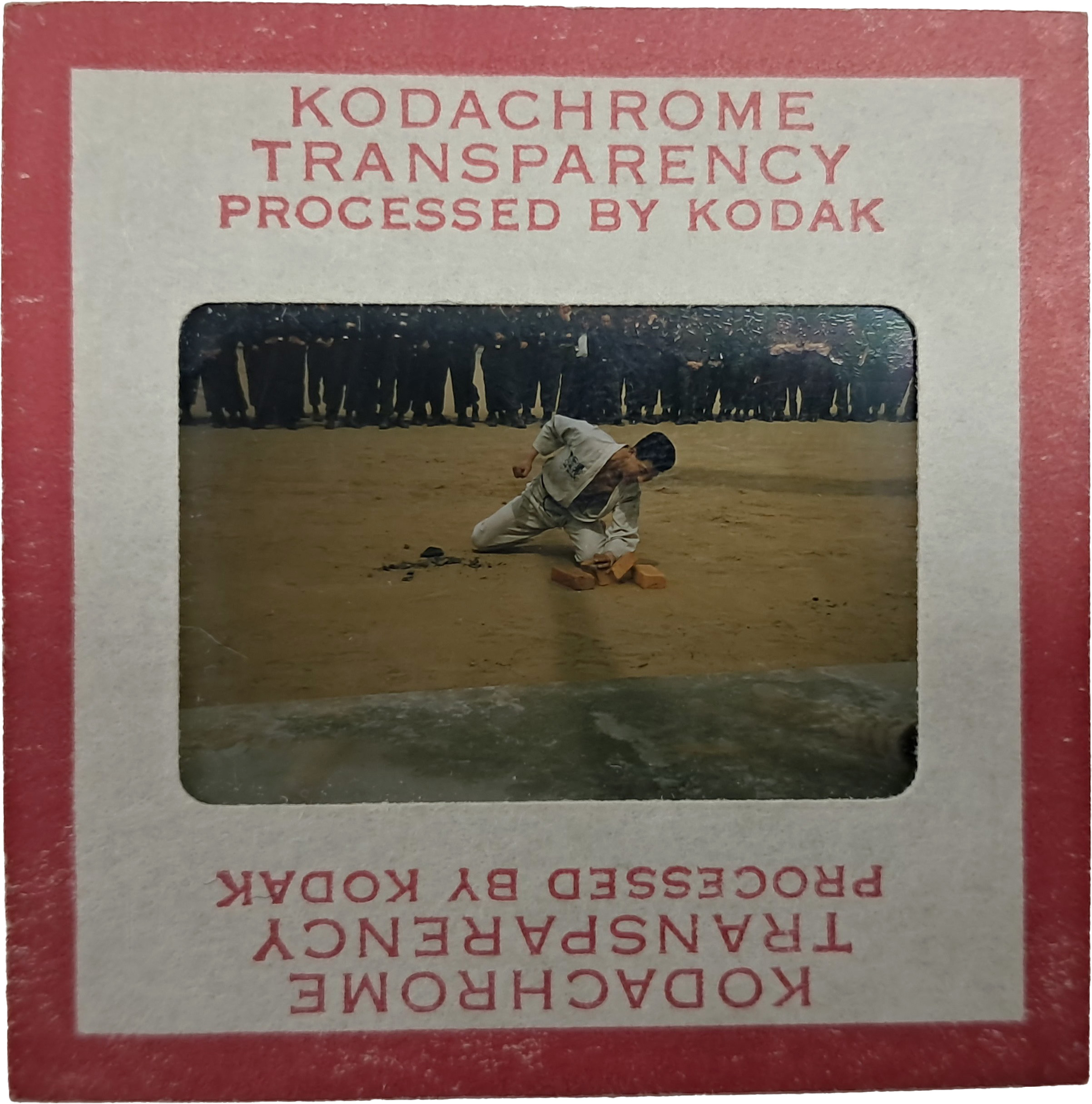 b1a6724483d1ec88dec2704639576aed_1776186602_8227.jpg b1a6724483d1ec88dec2704639576aed_1776186602_8227.jpg