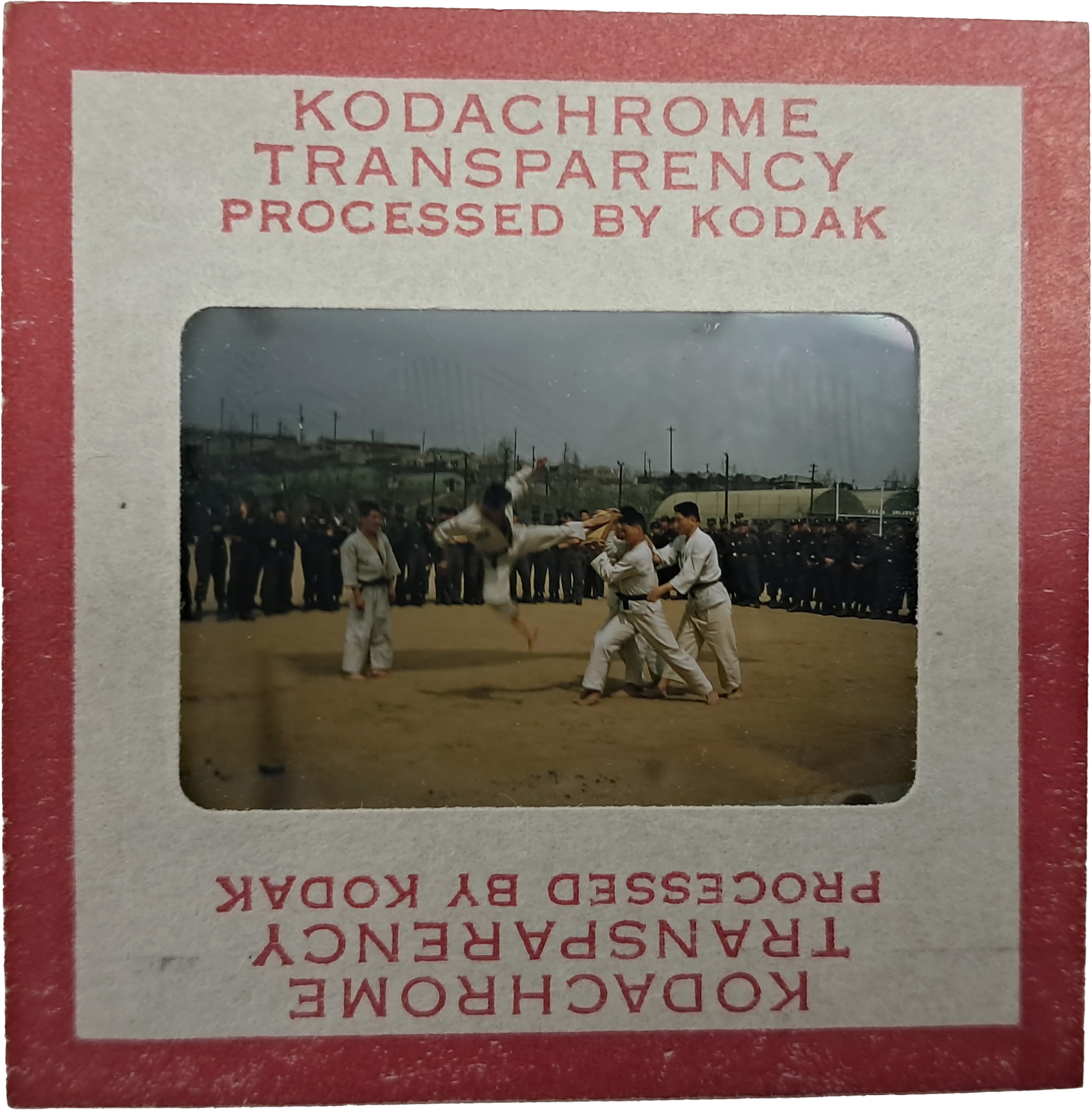 b1a6724483d1ec88dec2704639576aed_1776186603_0884.jpg b1a6724483d1ec88dec2704639576aed_1776186603_0884.jpg