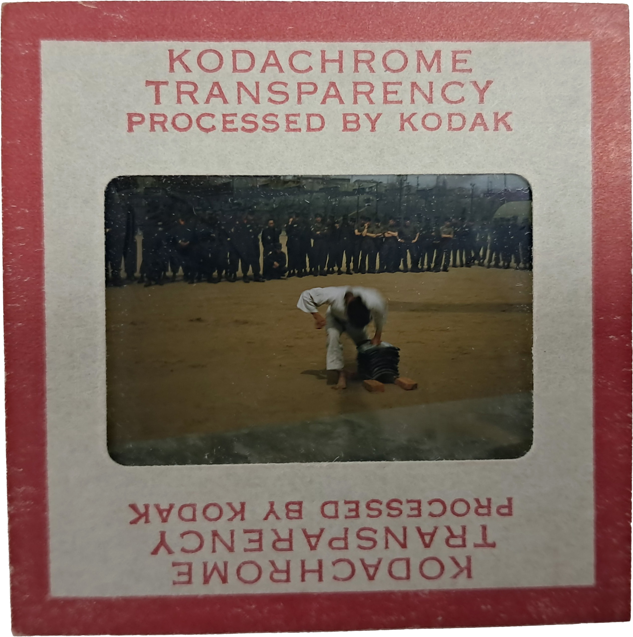 b1a6724483d1ec88dec2704639576aed_1776186603_3429.jpg b1a6724483d1ec88dec2704639576aed_1776186603_3429.jpg