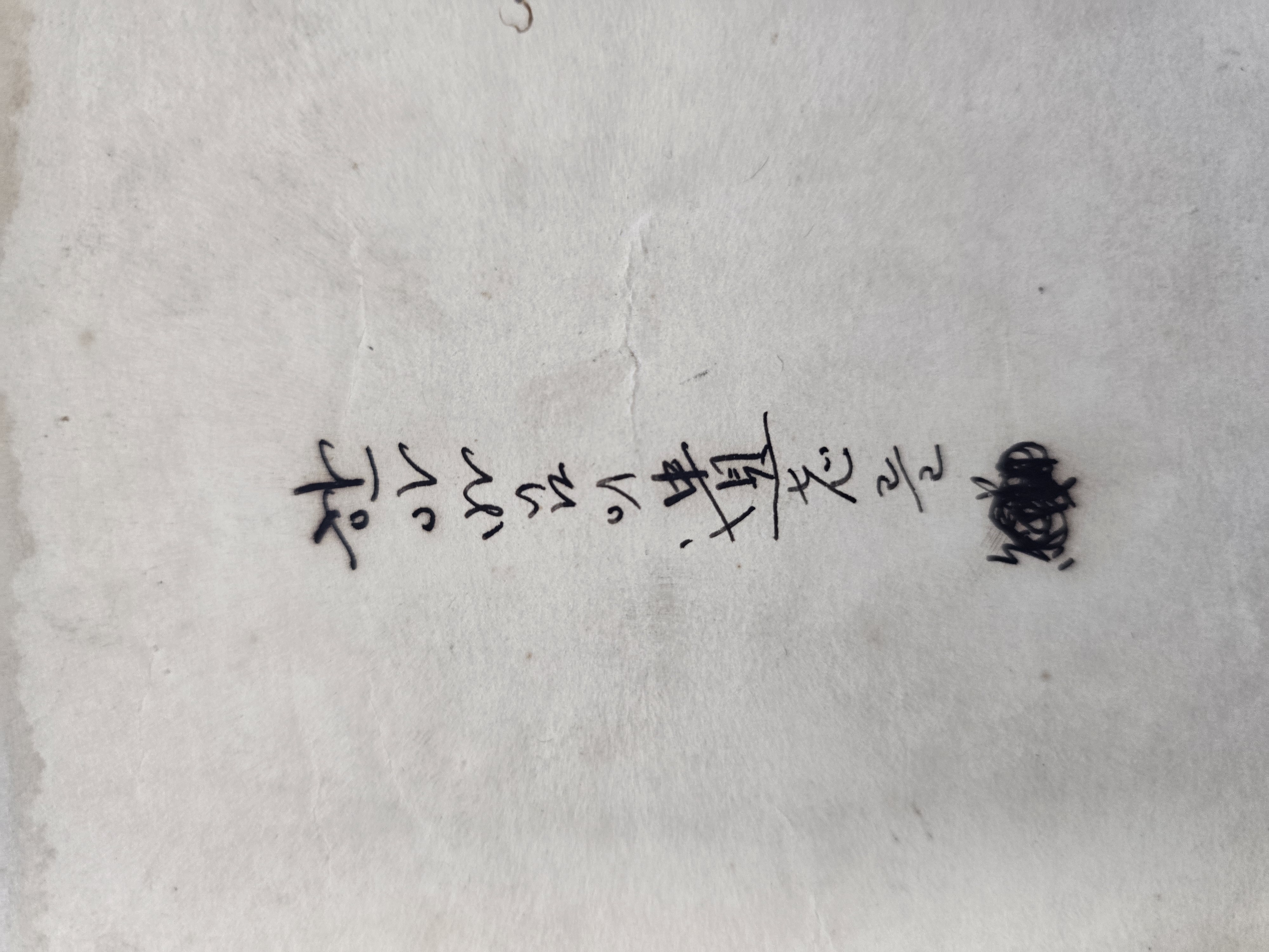 a0184da38a7d43d5ada666f28ecd4e9a_1781625100_8013.jpg