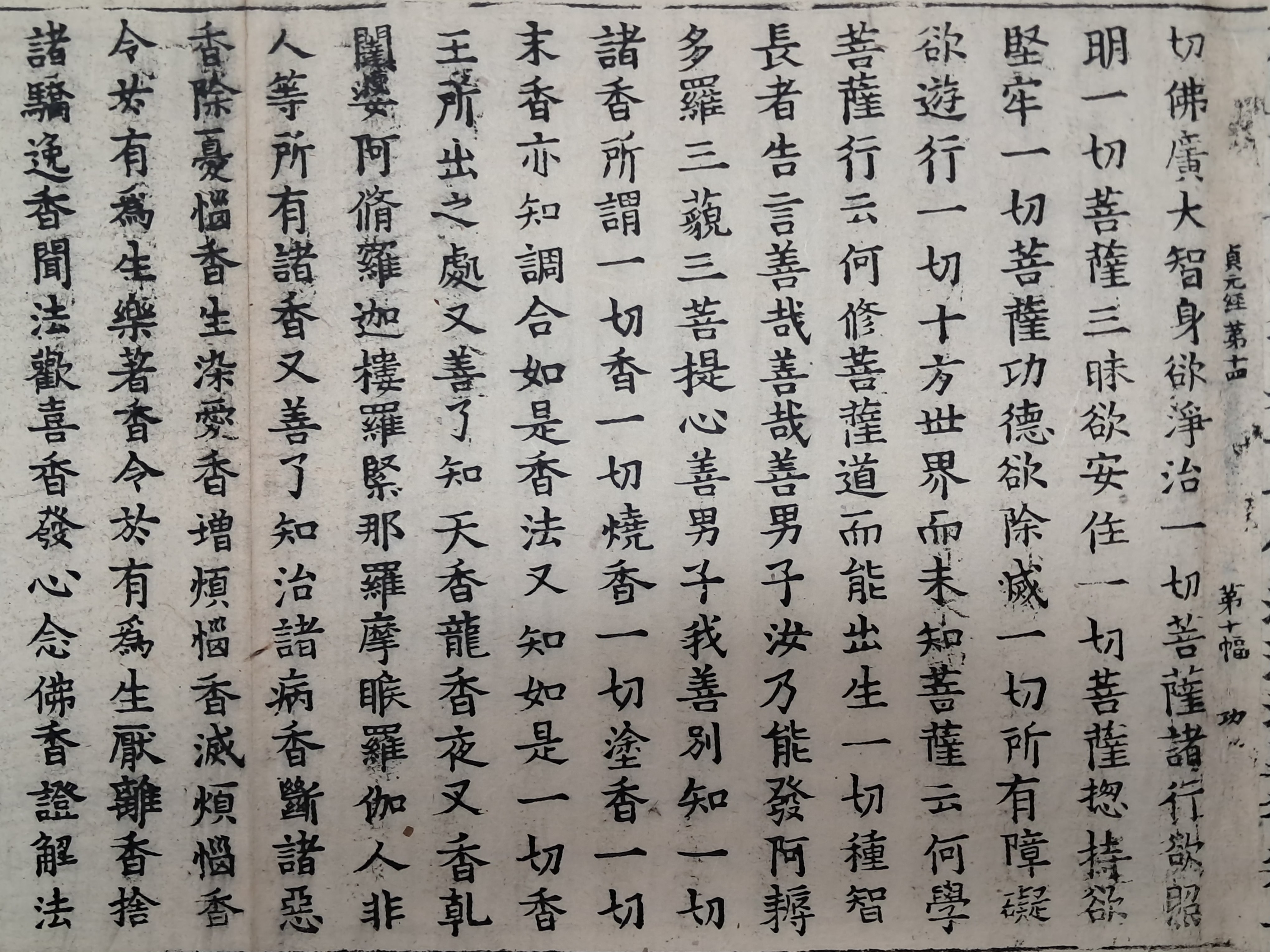 a0184da38a7d43d5ada666f28ecd4e9a_1781629274_8141.jpg