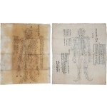 [136] 경혈에 침을 놓기 위해 그려진 명당도(明堂圖)와 동인도(銅人圖) 인체 전후면 필사 문서 2점