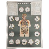 [25] 인체기생충도 人体寄生虫圖