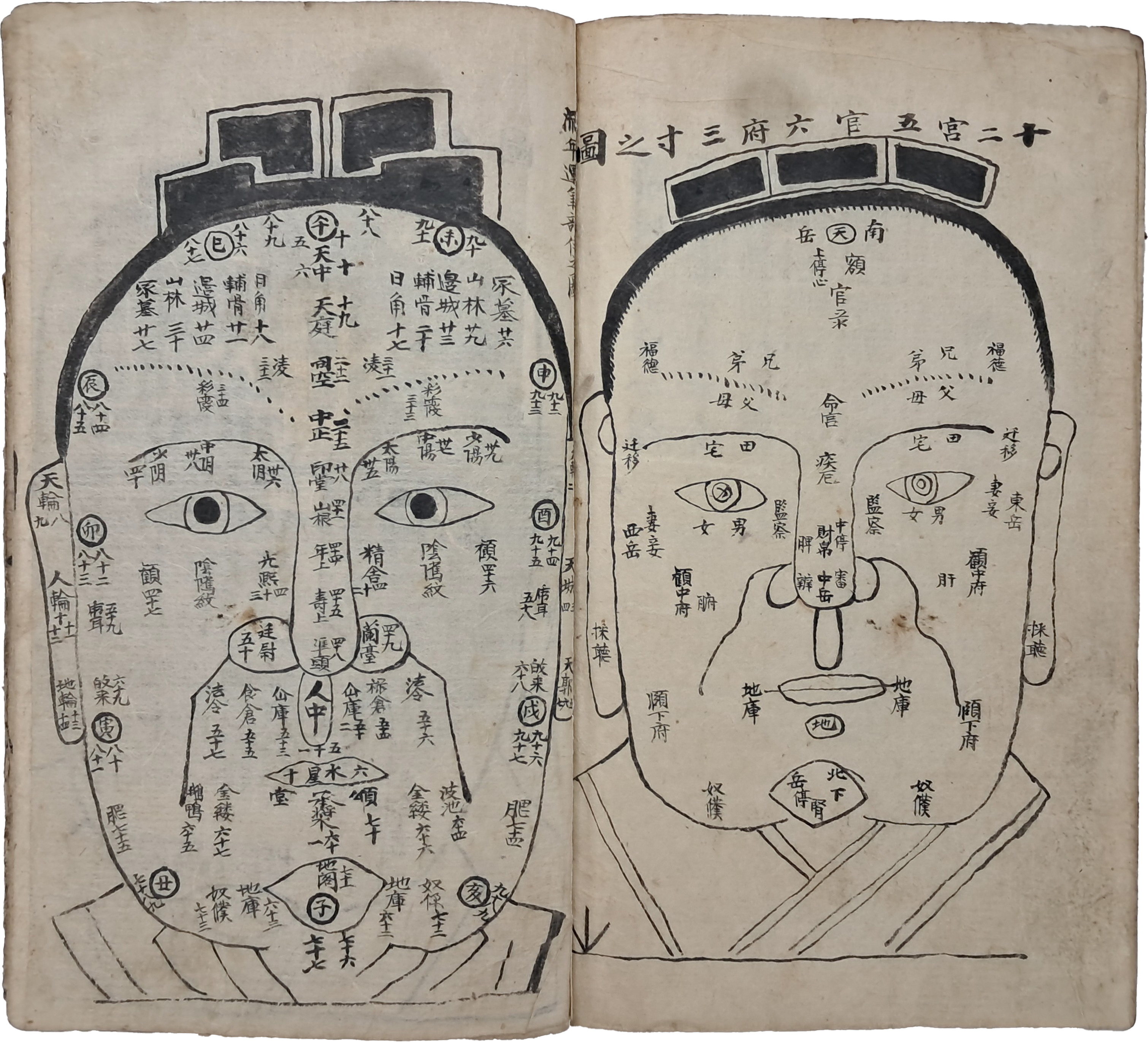 [126] 관상학 [달마조사상결비전 達磨祖師相訣秘傳]/[마의상법 麻衣相法] 필사본