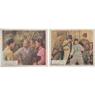 [154] 북한영화 [유격대의 뻐꾸기] 컬러 스틸 사진