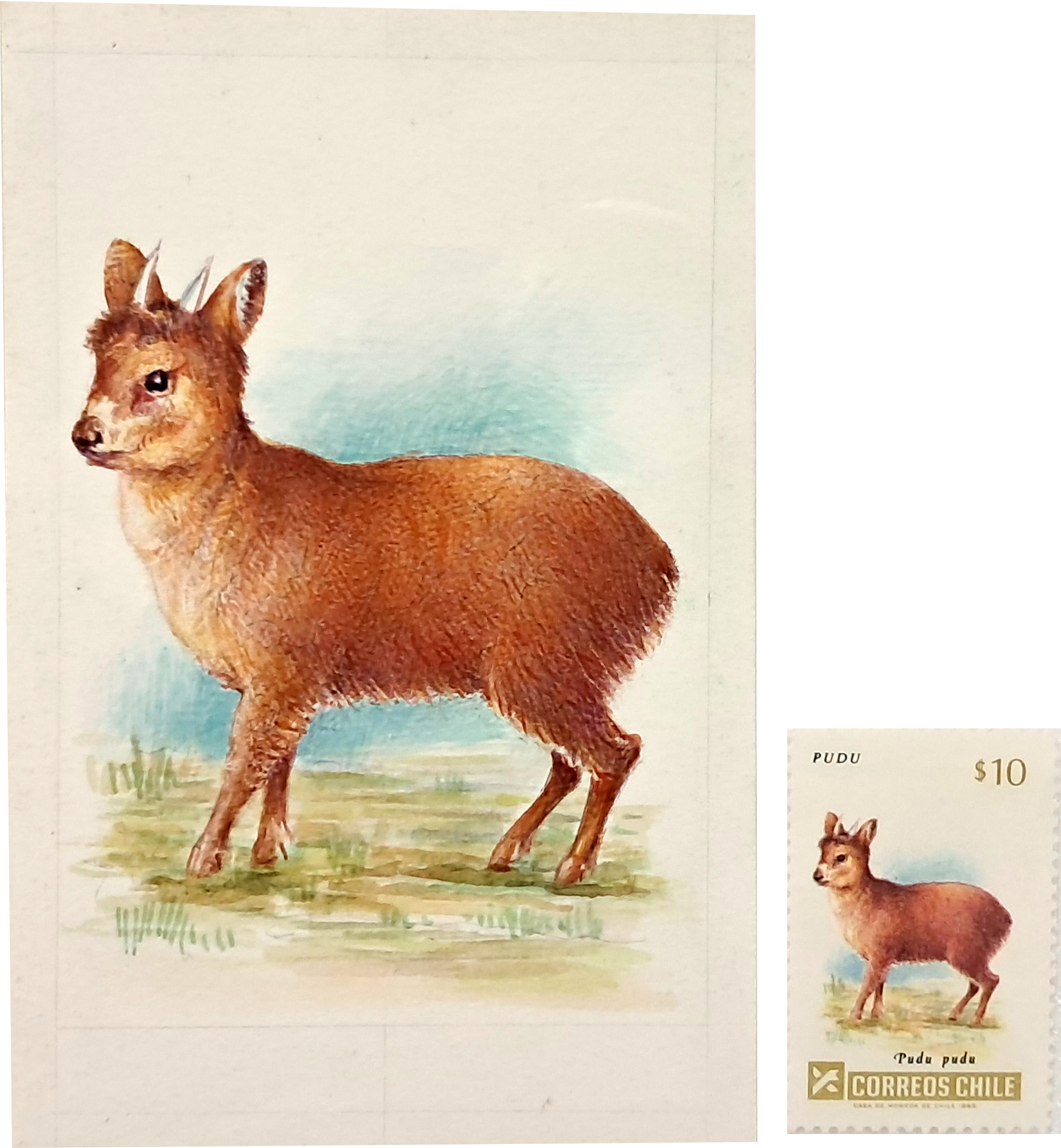 [182] 칠레 사슴우표 원도(原圖)