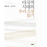 다국적 시대의 우리 소설 읽기 (김윤식 평론집)