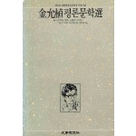김윤식평론문학선