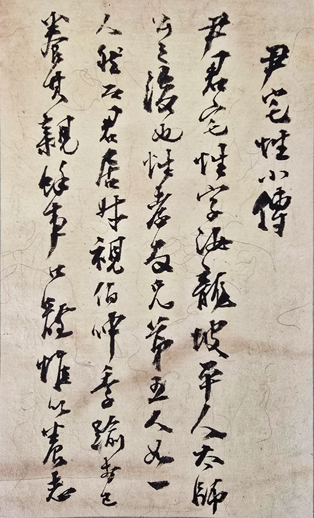 대원군(大院君) 친필첩, [윤택성 소전 尹宅性小傳]