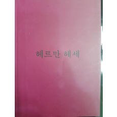 헤르만 헤세전 (2000)