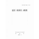 영암 신연리 9호분