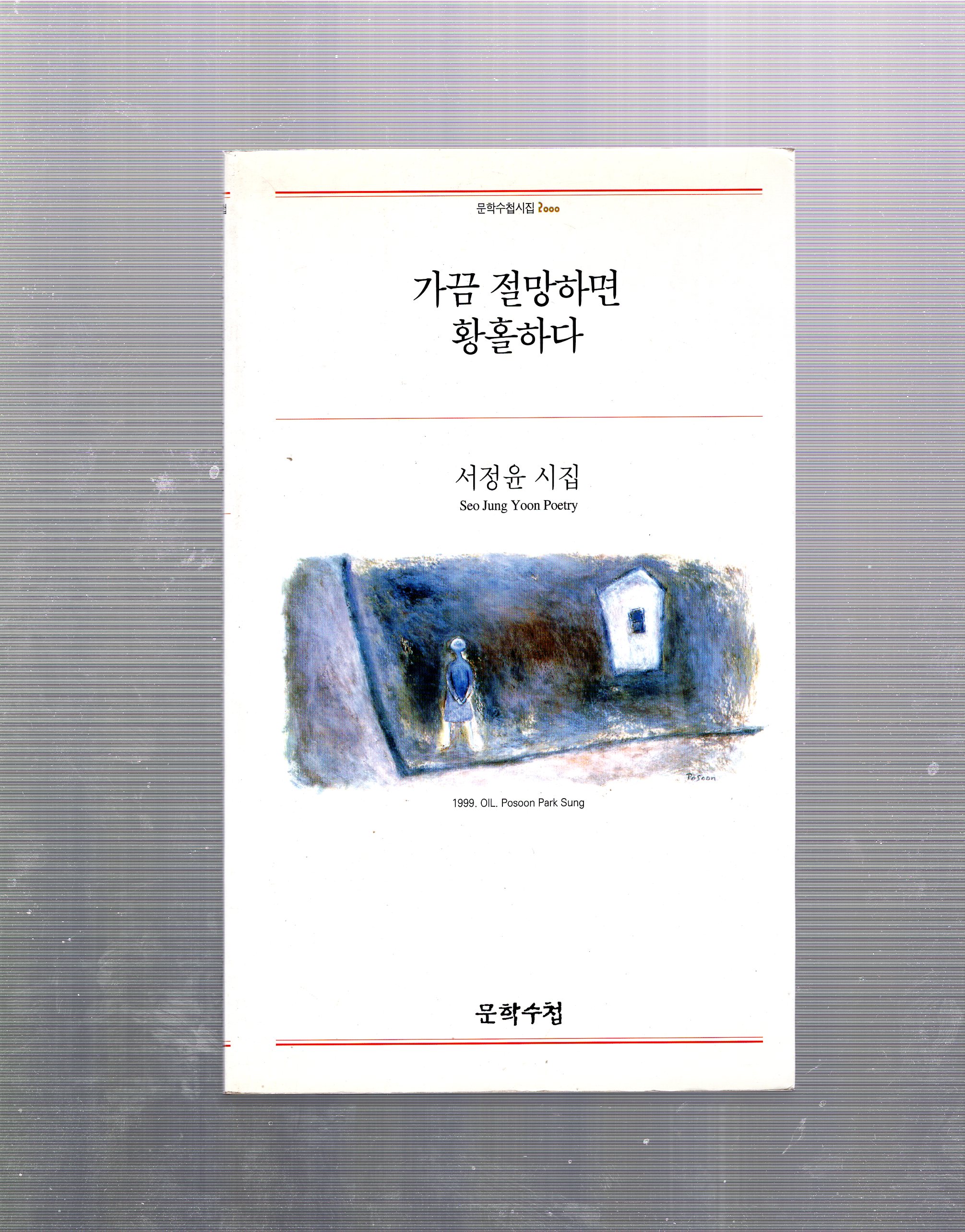 가끔 절망하면 황홀하다 (서정윤시집,초판)