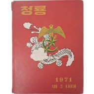 [40] ‘주월청룡부대’ 제5대대 기념앨범 [청룡]