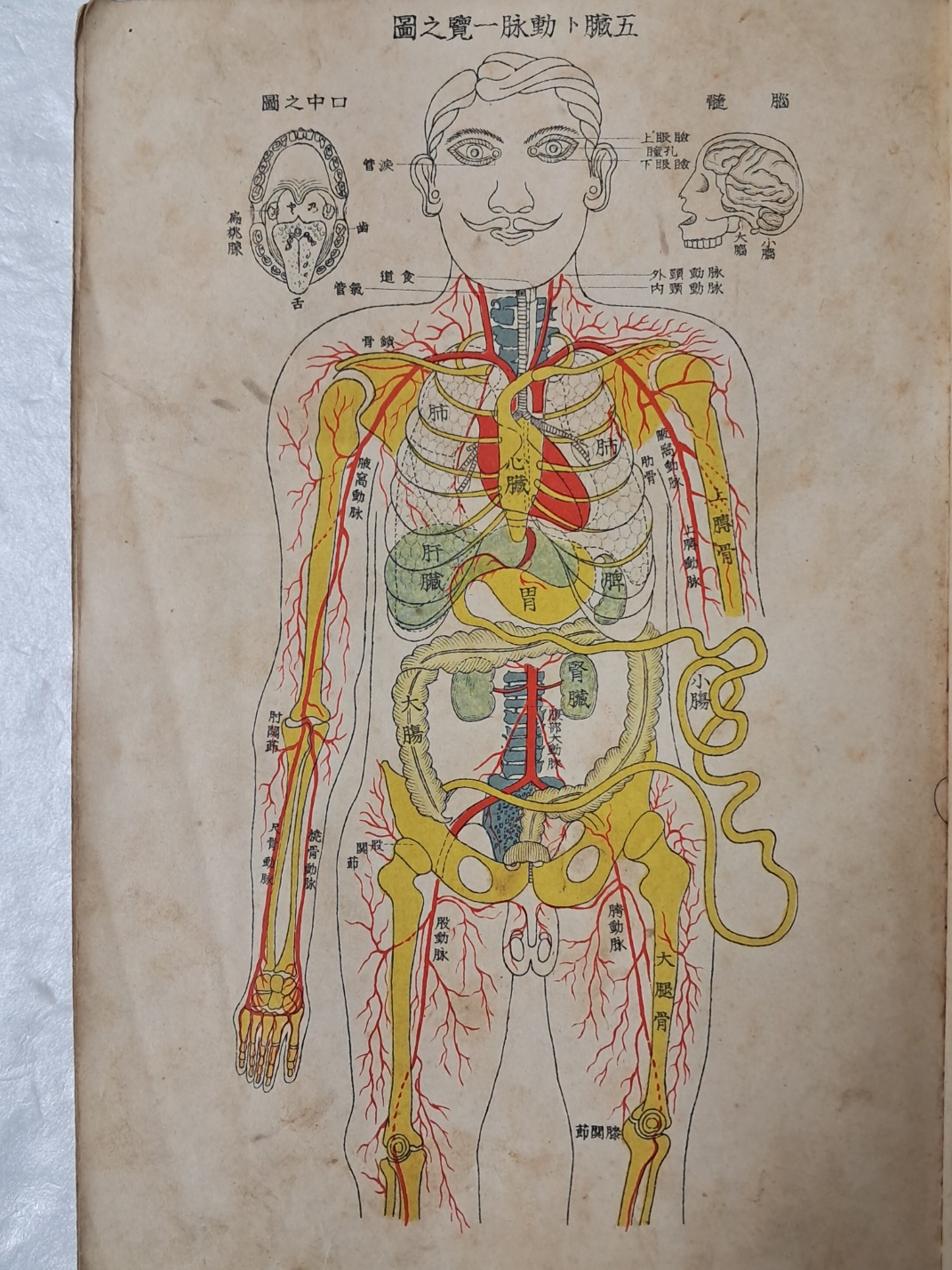 최신통속 위생대감 最新通俗 衛生大鑑
