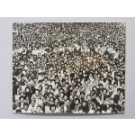 13대 대선 유세장에 모인 군중 사진