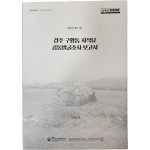 경주 구황동 지석묘 공동발굴조사 보고서